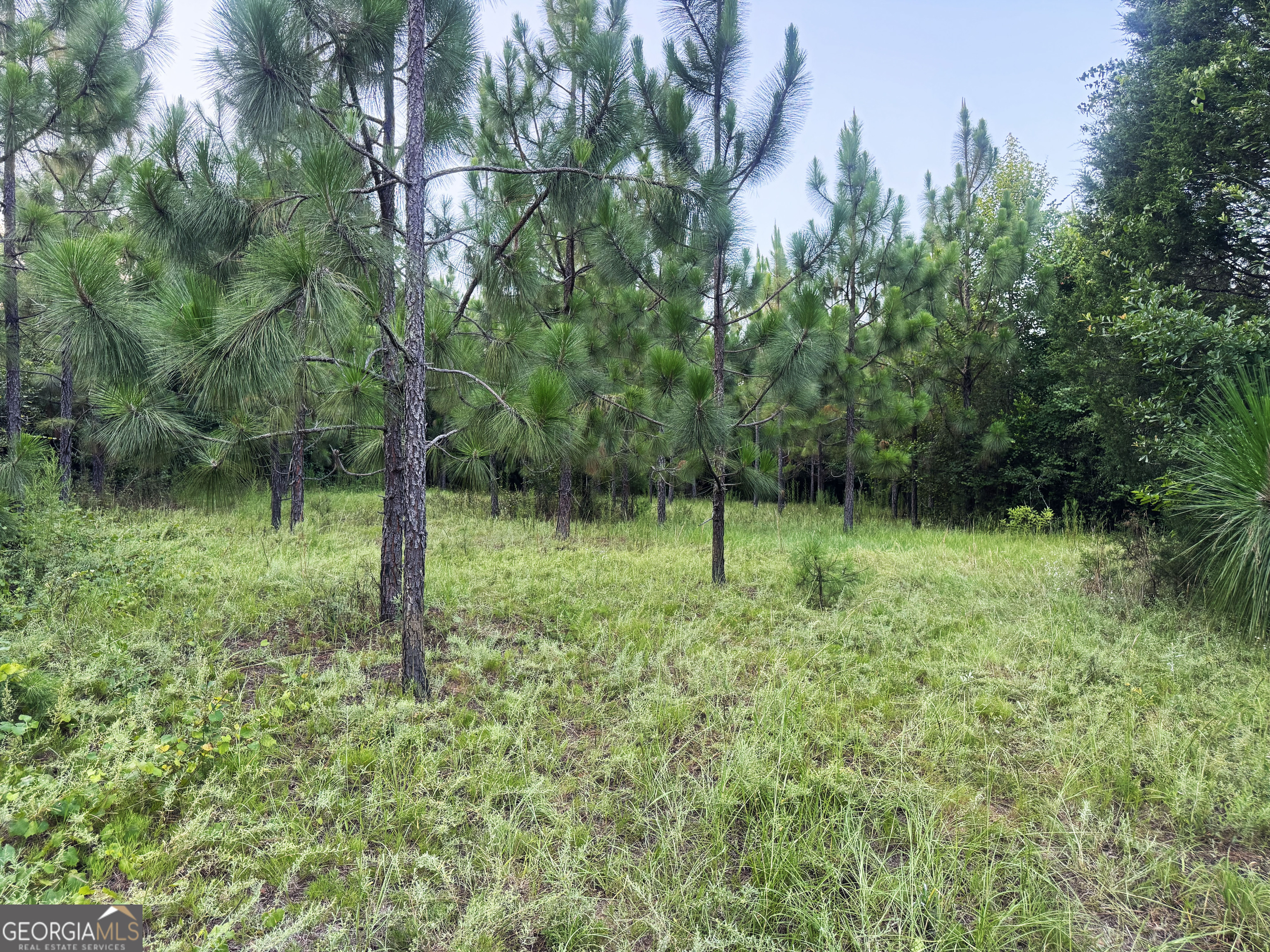0 Wooten Road Cuthbert GA 39840