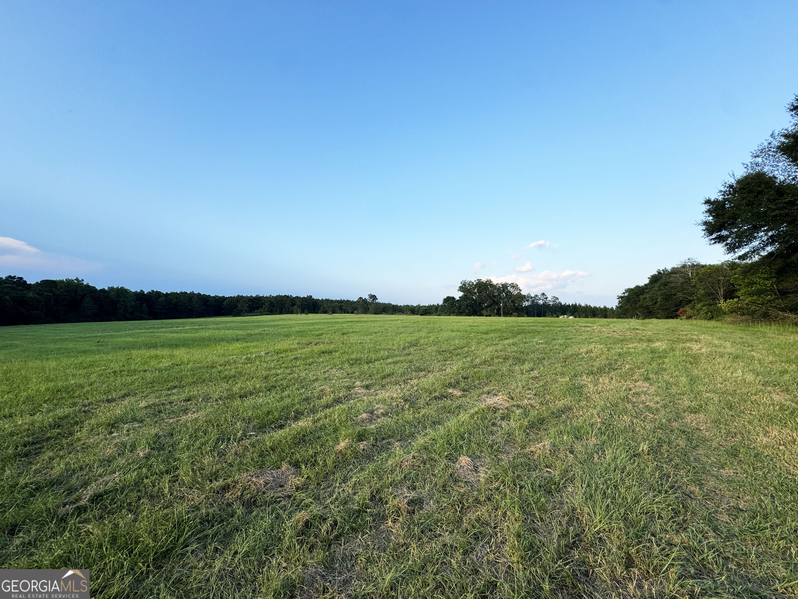 0 Wooten Road Cuthbert GA 39840