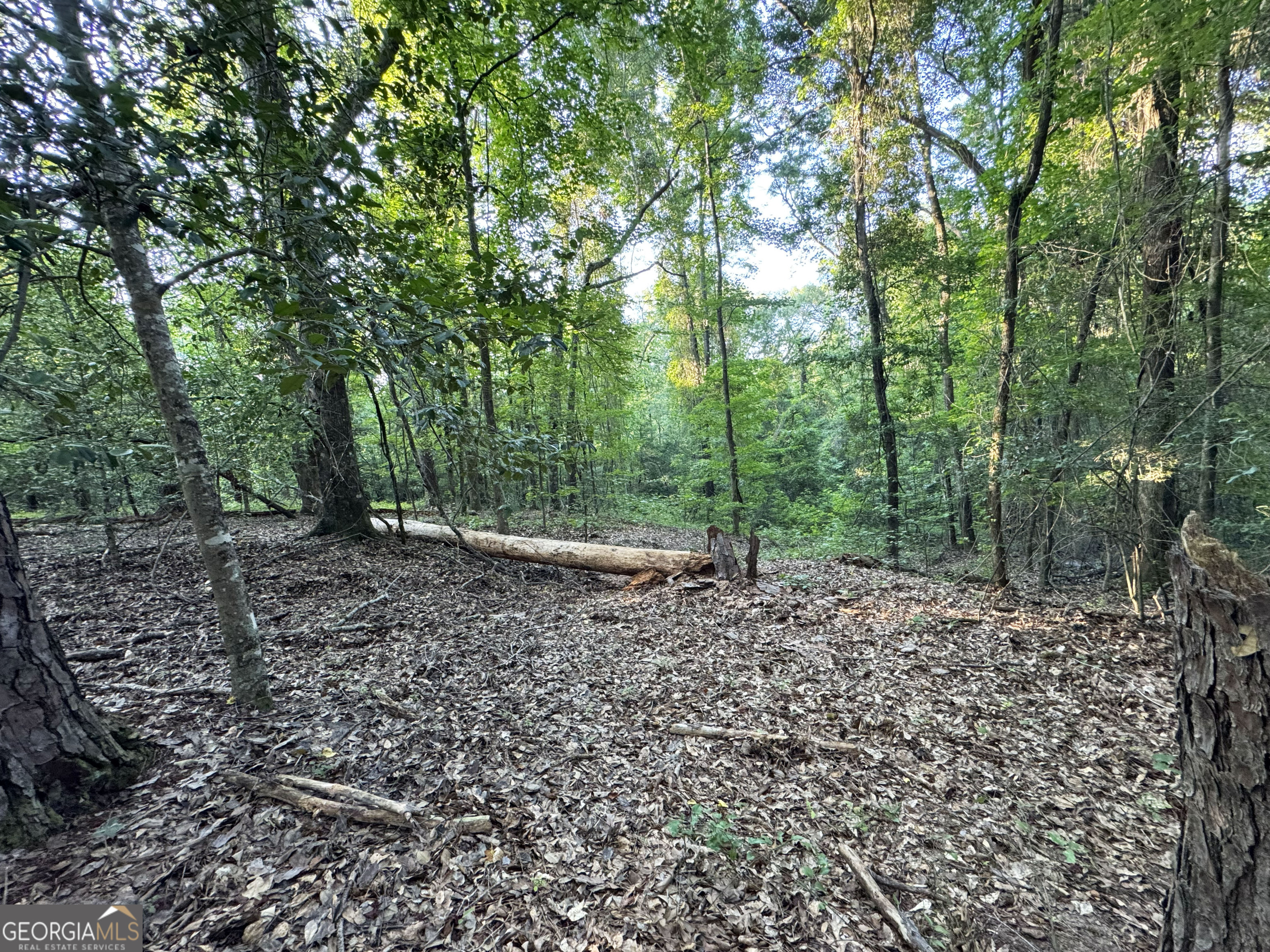 0 Wooten Road Cuthbert GA 39840