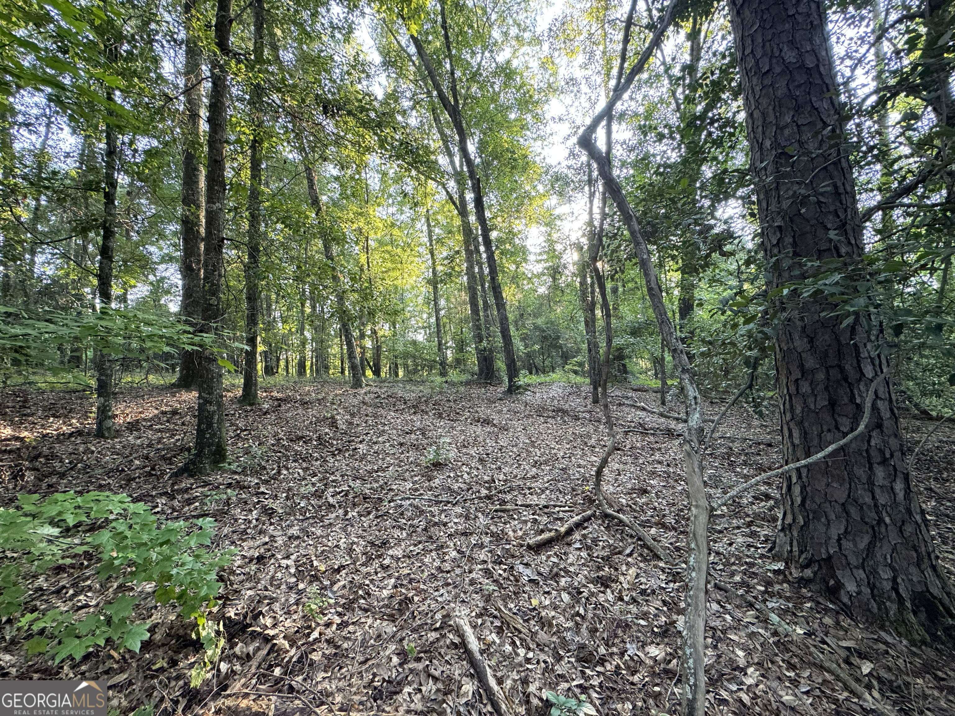 0 Wooten Road Cuthbert GA 39840
