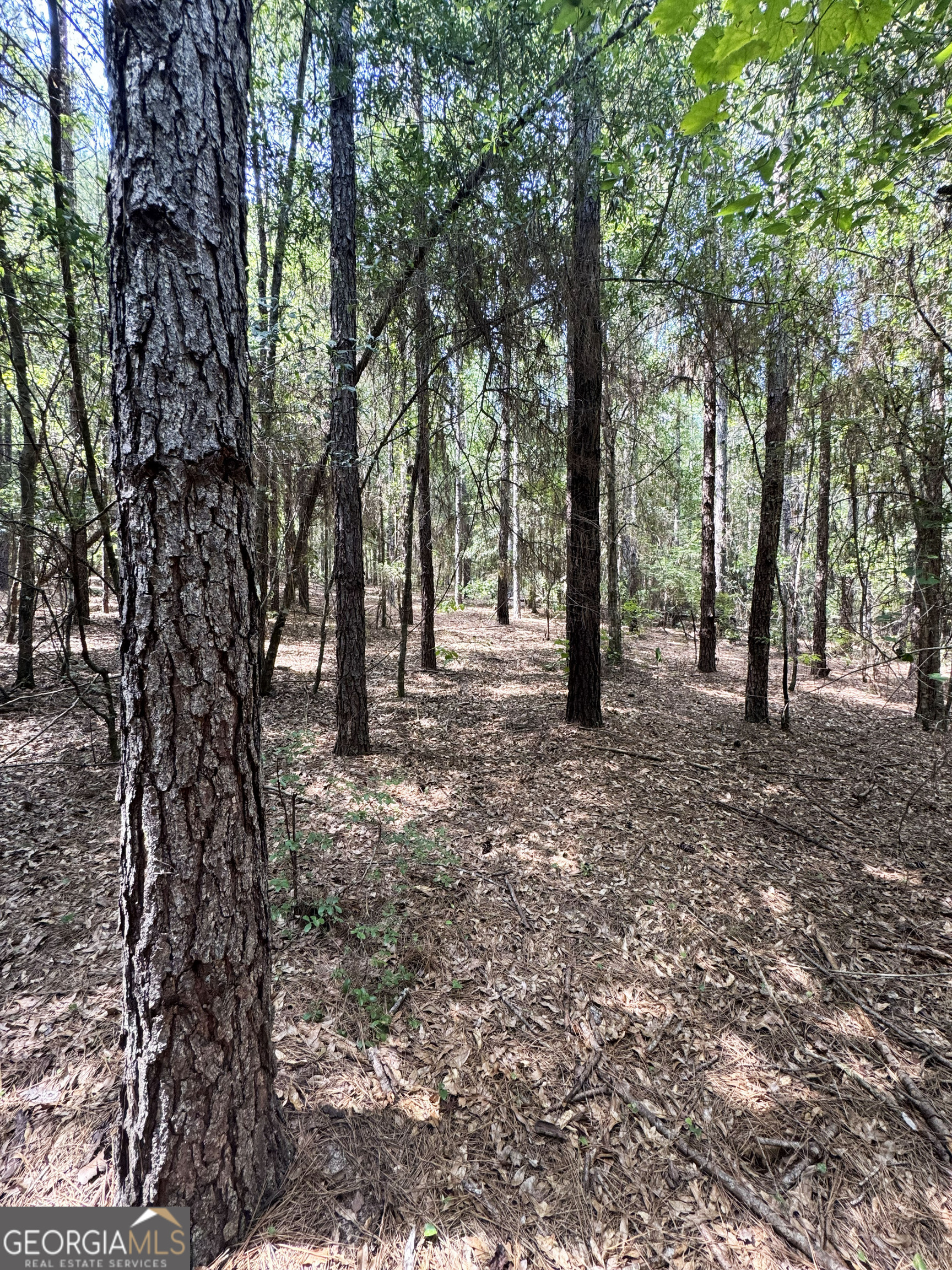 0 Wooten Road Cuthbert GA 39840