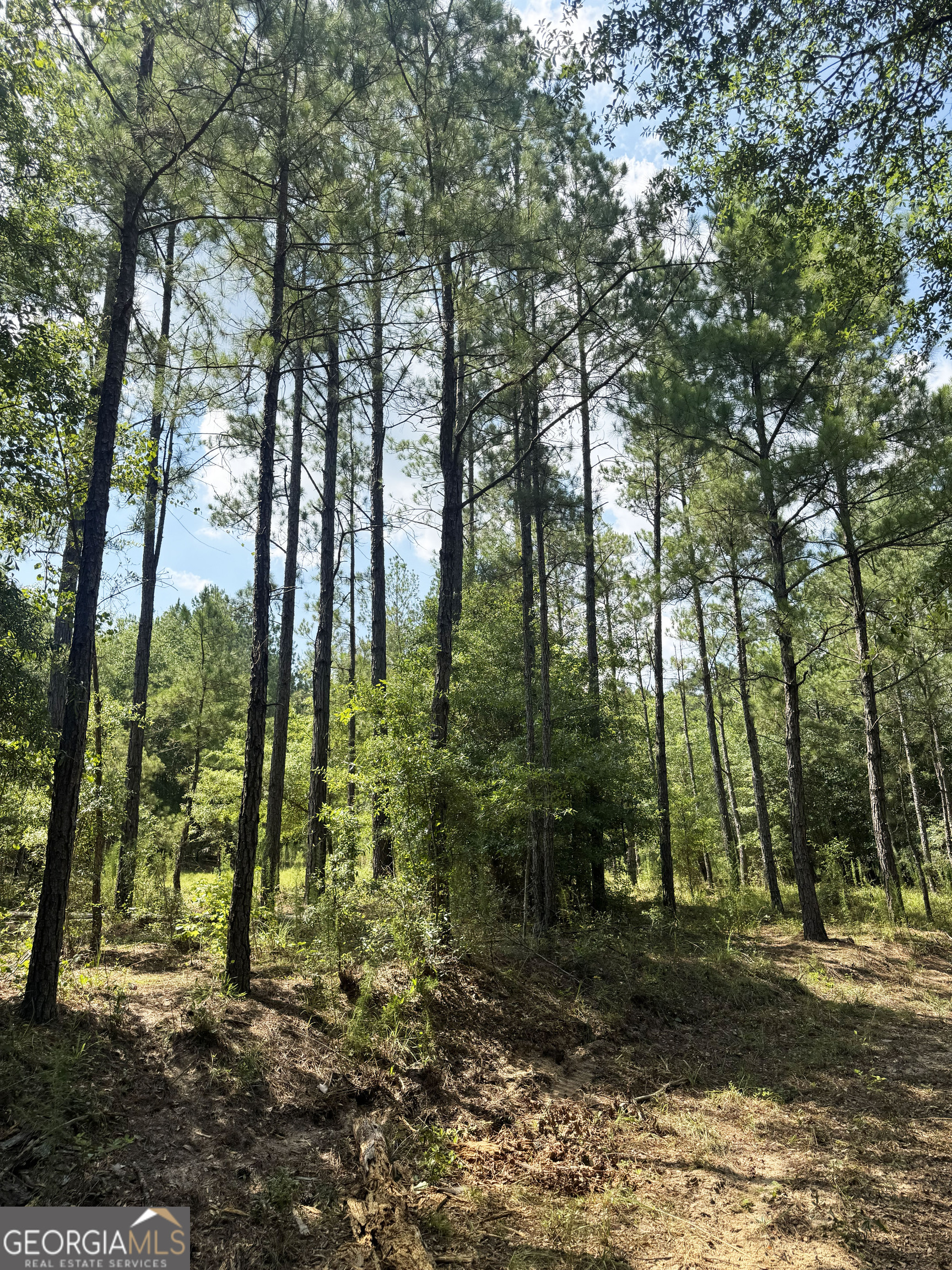 0 Wooten Road Cuthbert GA 39840