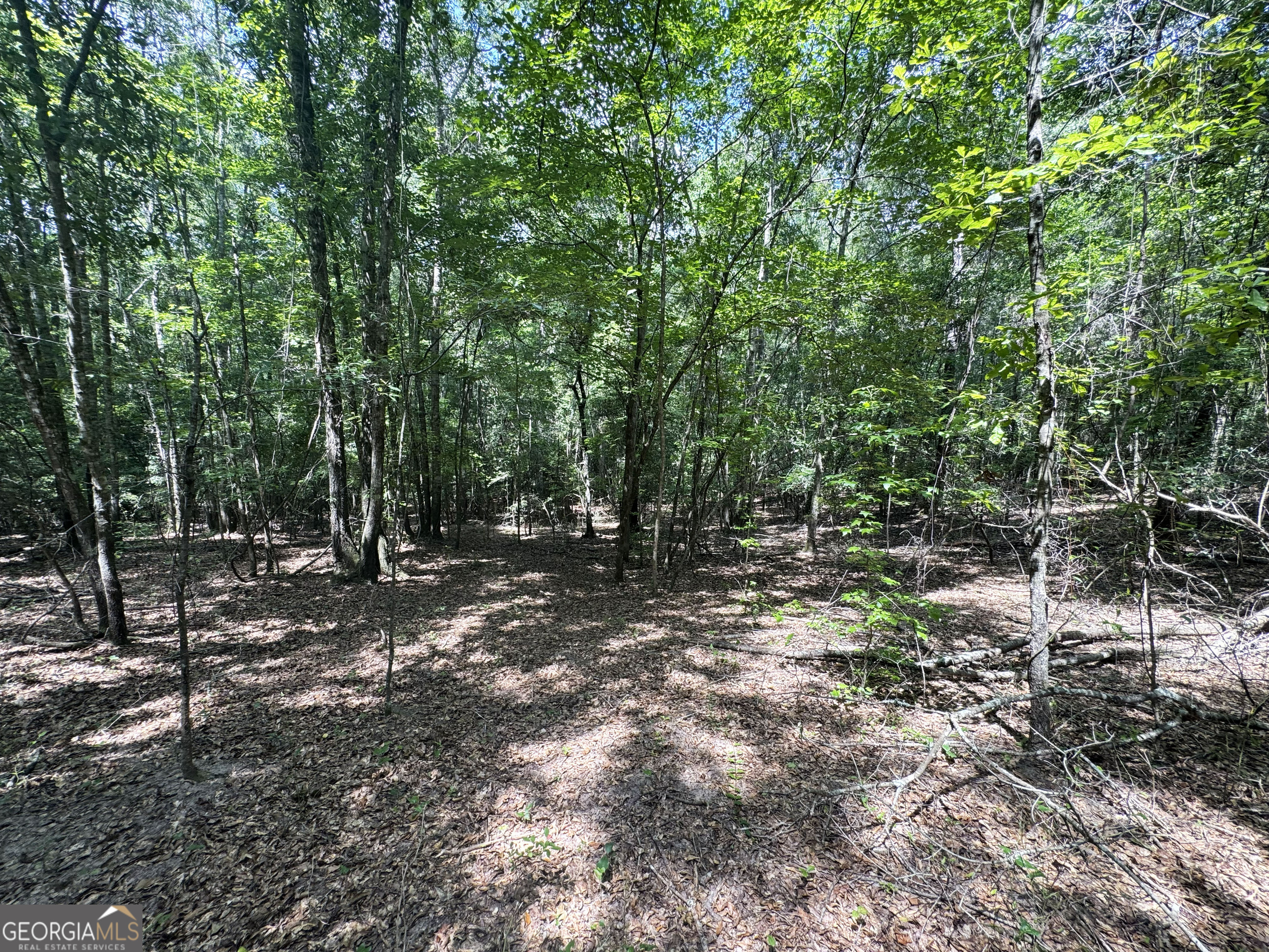 0 Wooten Road Cuthbert GA 39840