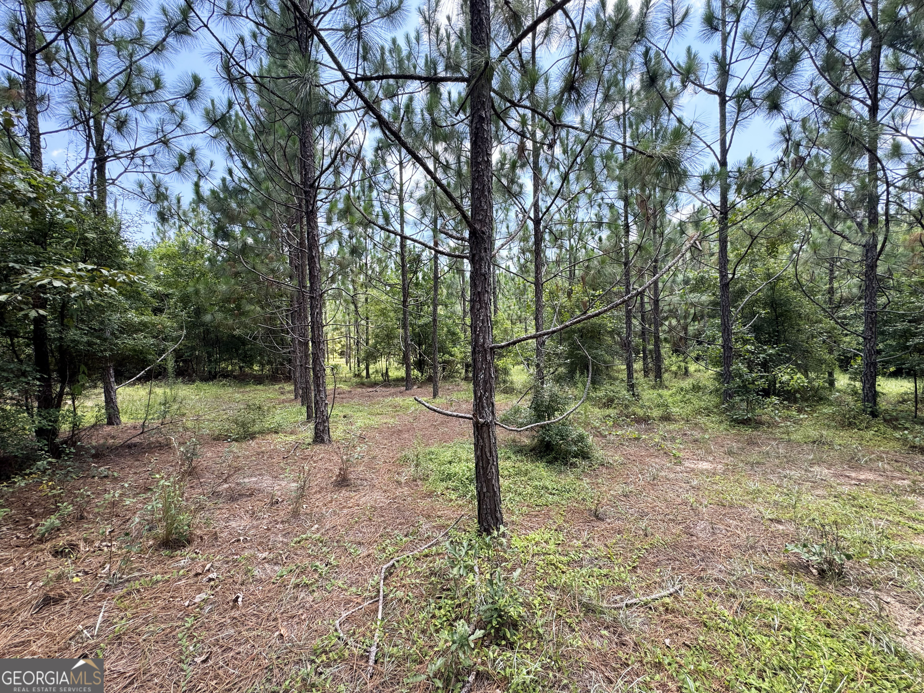 0 Wooten Road Cuthbert GA 39840