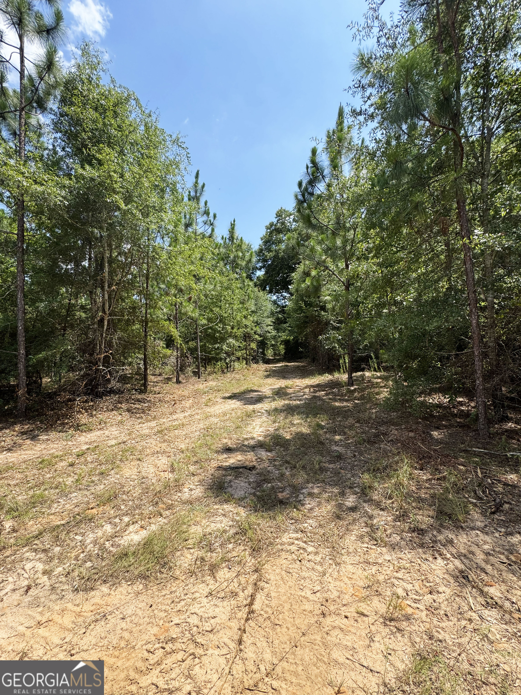 0 Wooten Road Cuthbert GA 39840