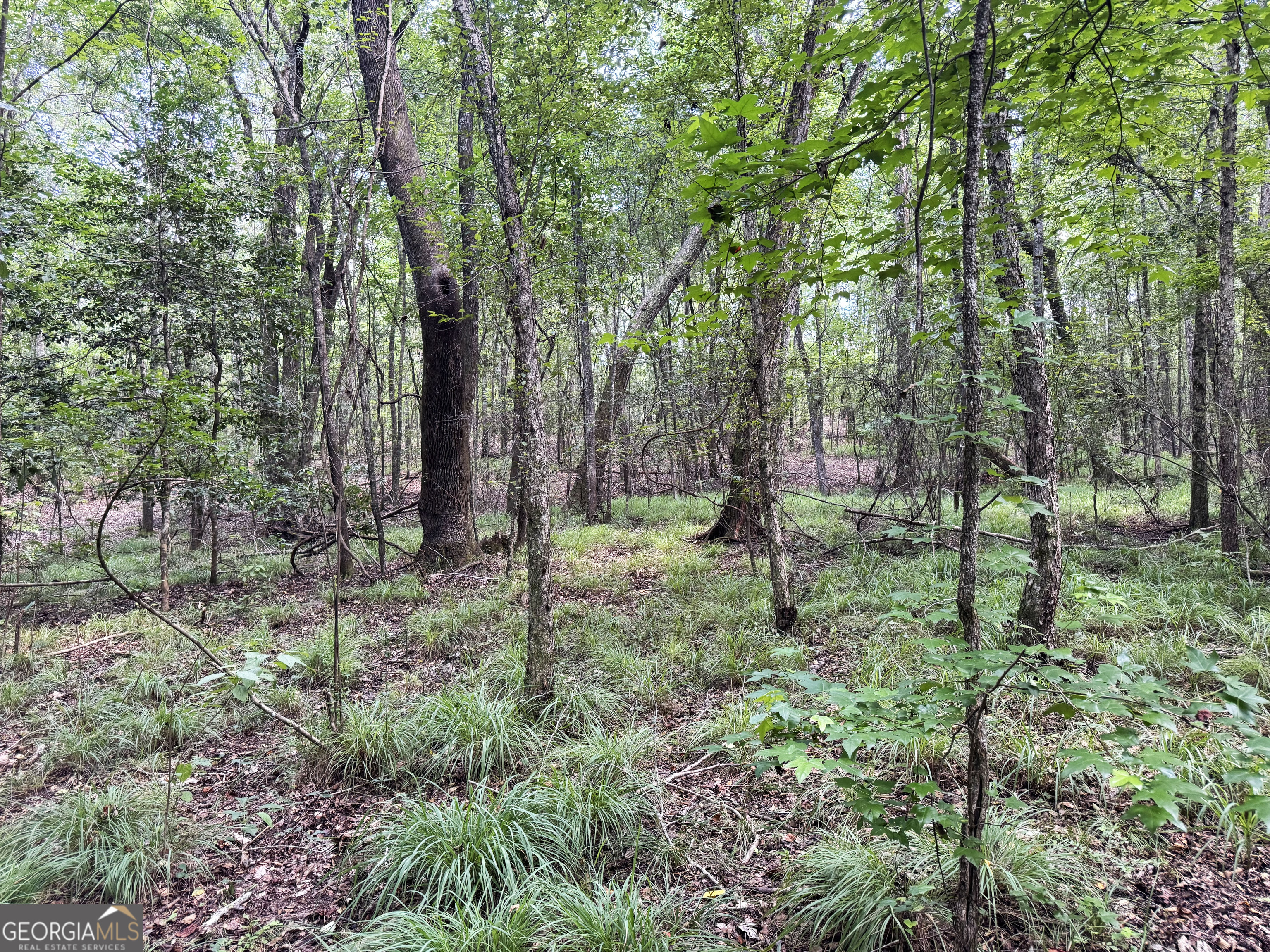 0 Wooten Road Cuthbert GA 39840