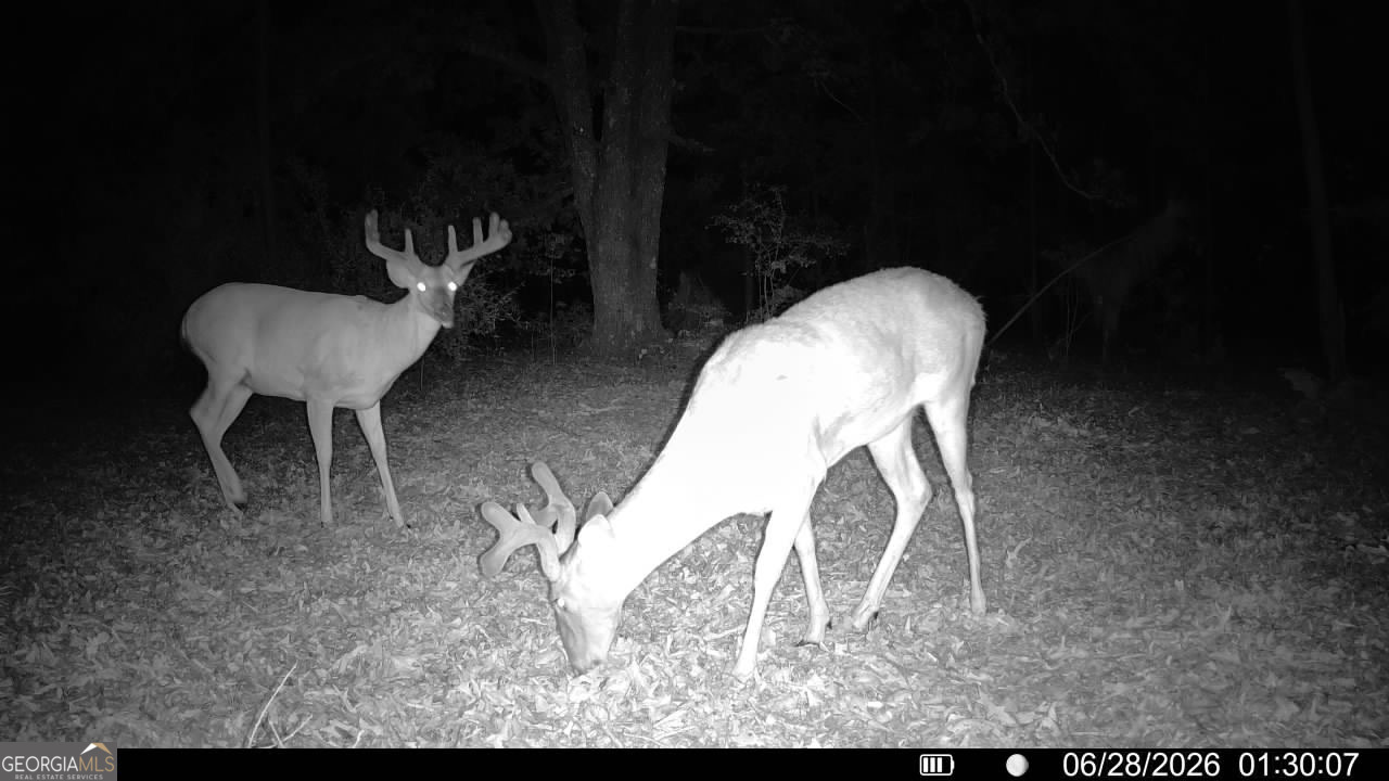 0 Wooten Road Cuthbert GA 39840