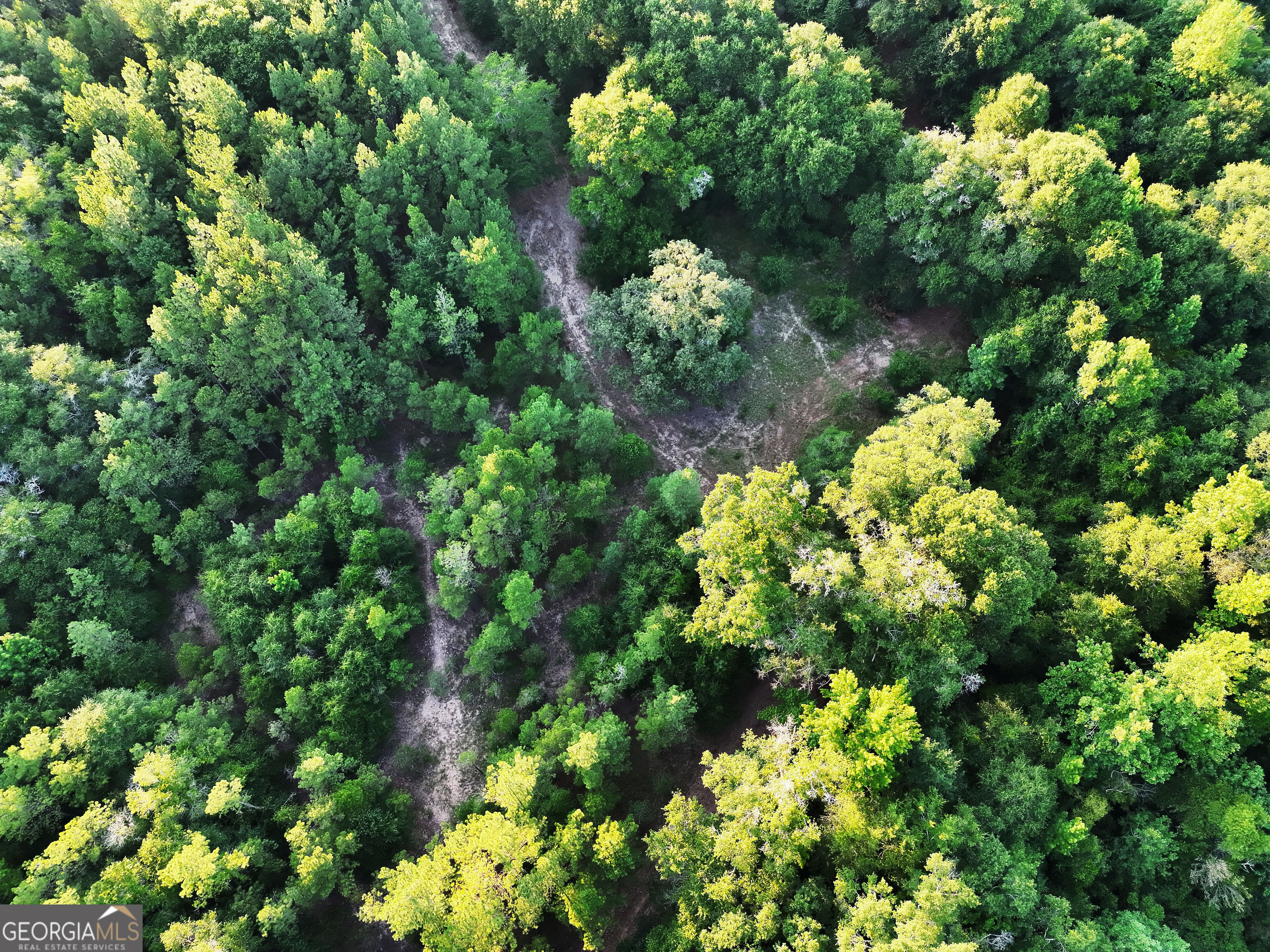 0 Wooten Road Cuthbert GA 39840