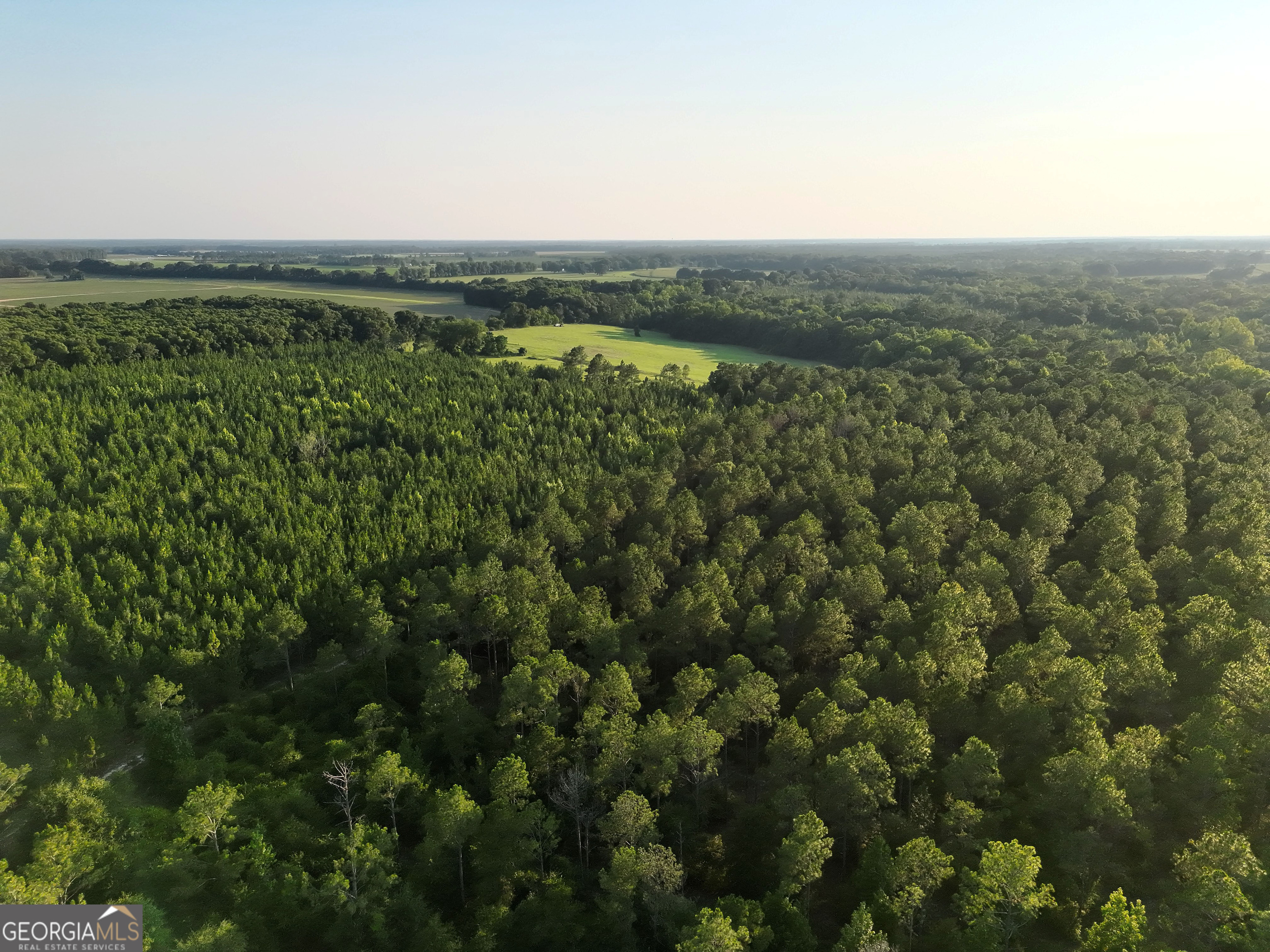 0 Wooten Road Cuthbert GA 39840
