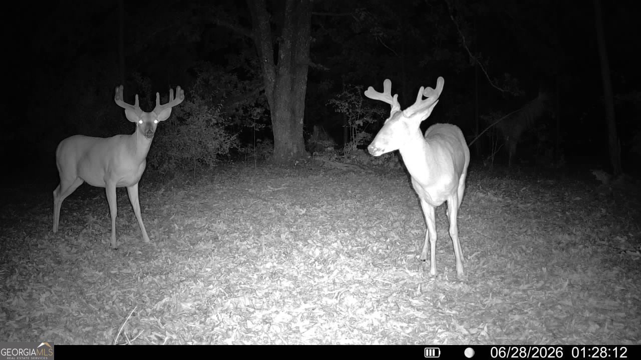 0 Wooten Road Cuthbert GA 39840