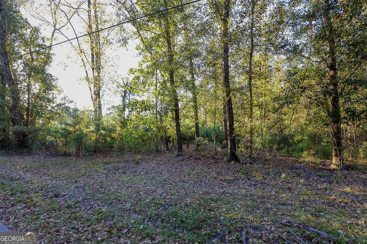 0 Cedar Lane Guyton GA 31312