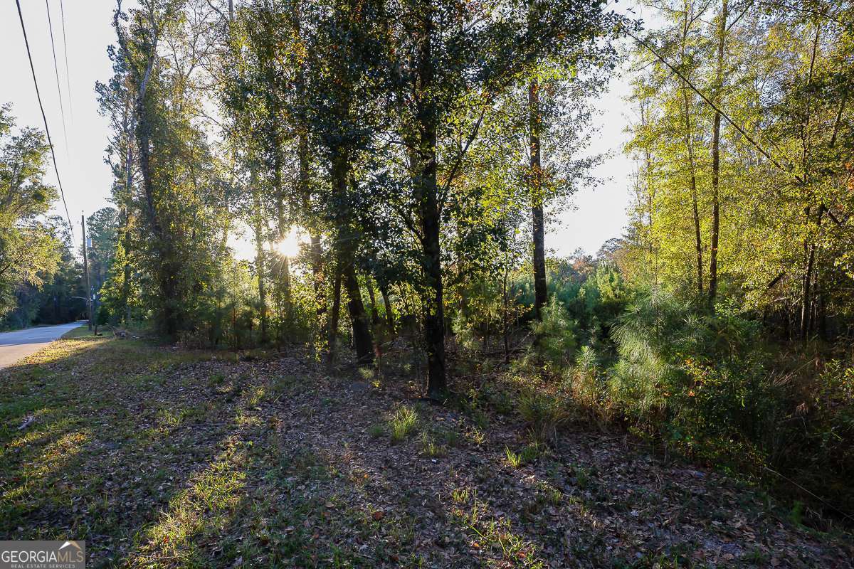 0 Cedar Lane Guyton GA 31312