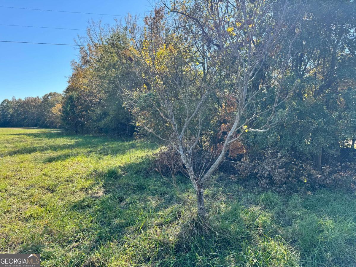 0 Taylor Road Lexington GA 30648