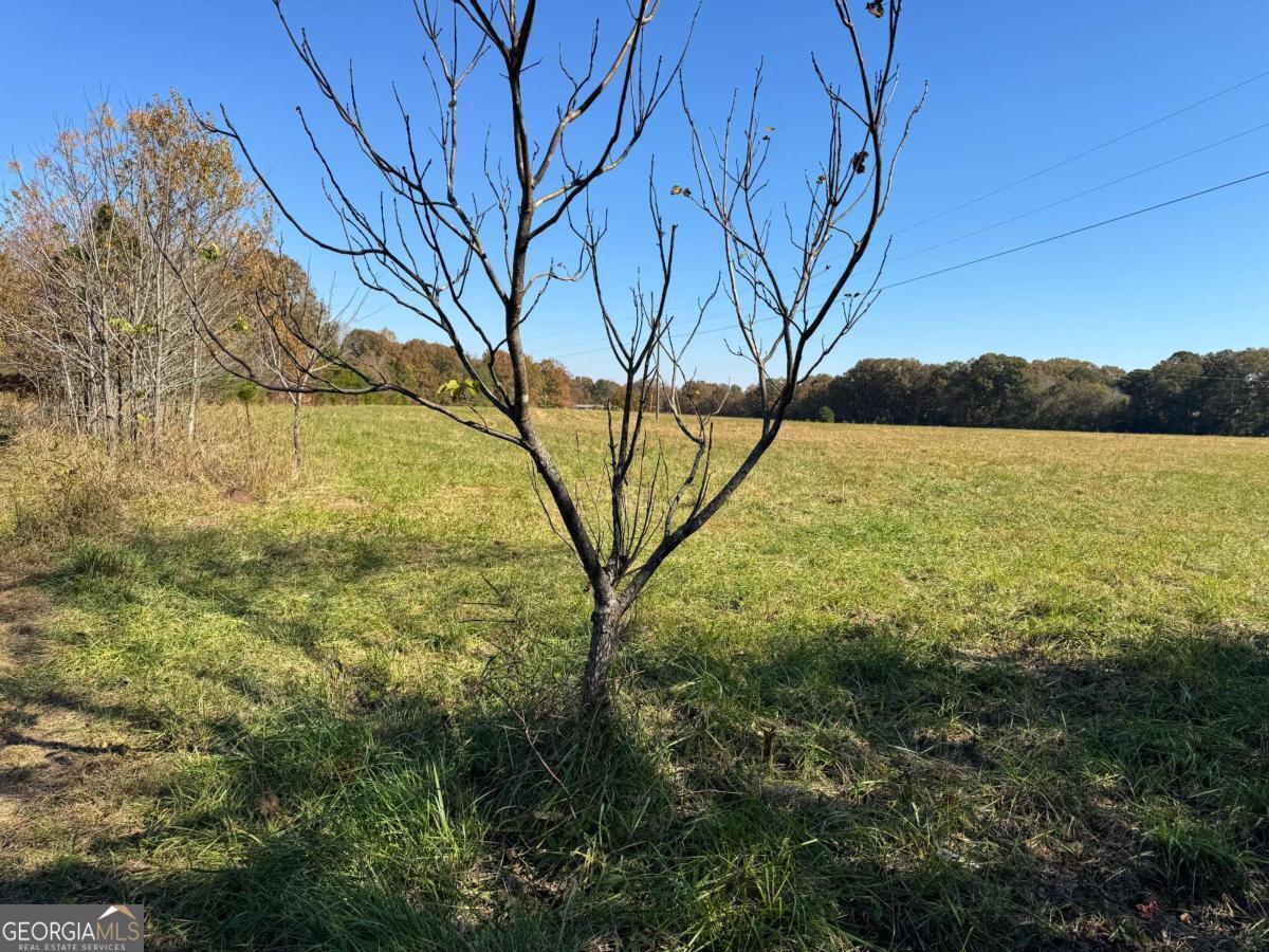 0 Taylor Road Lexington GA 30648