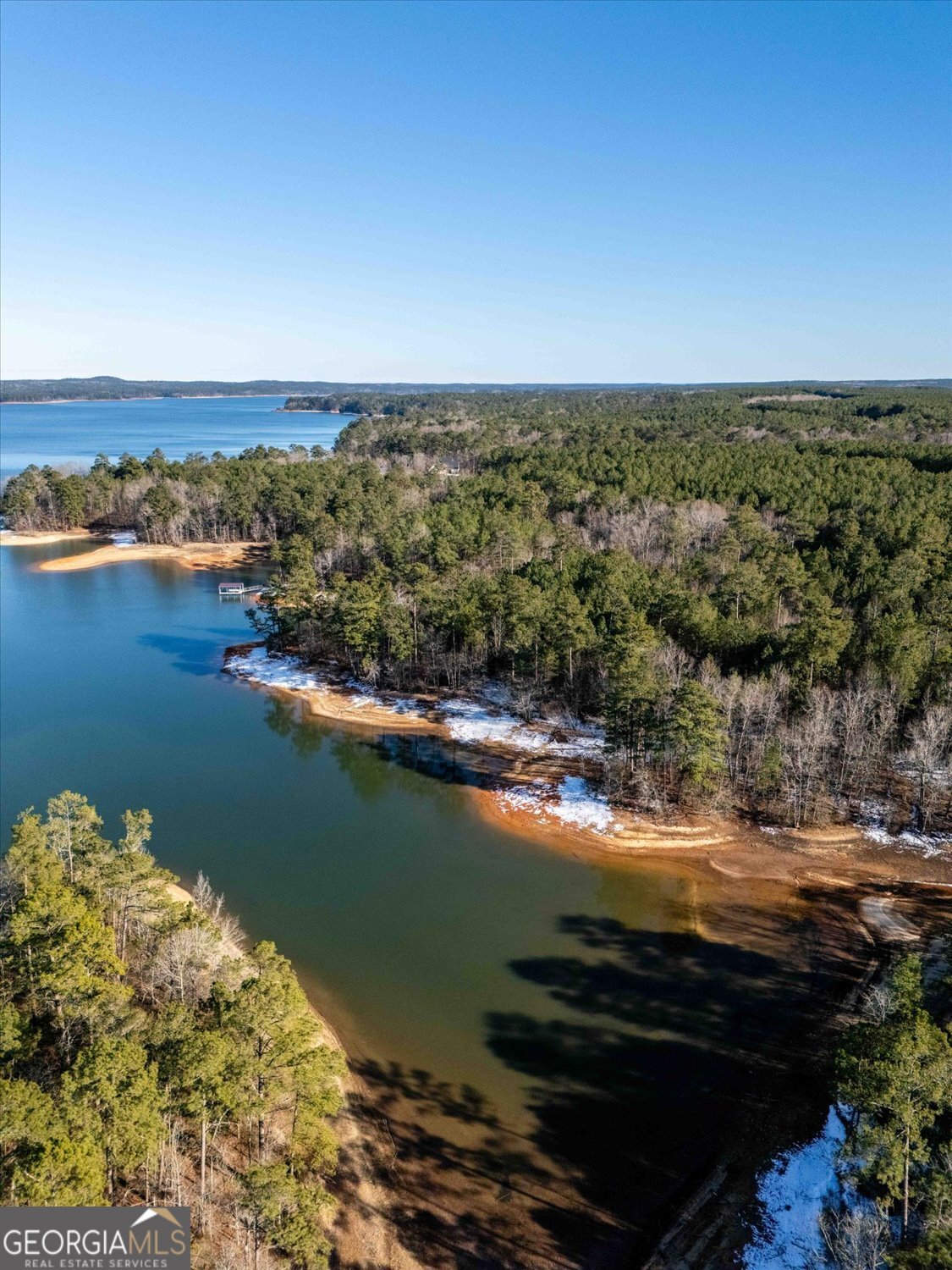 1440 Rock Point Cove Tignall GA 30668