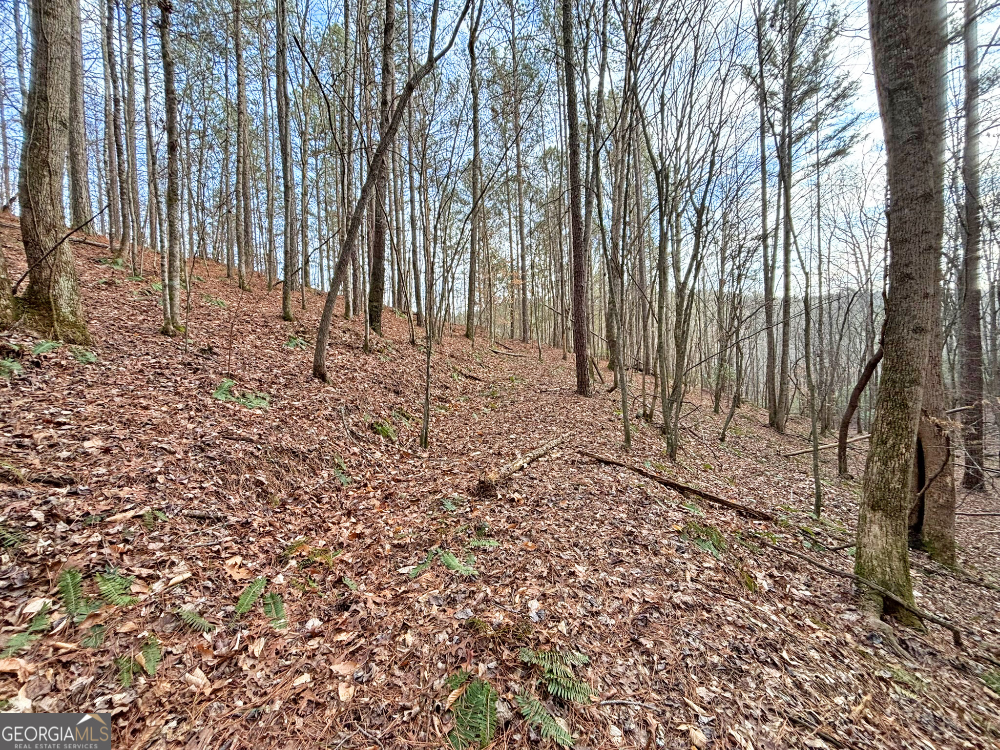 5AC Lovejoy Lane Talking Rock GA 30175