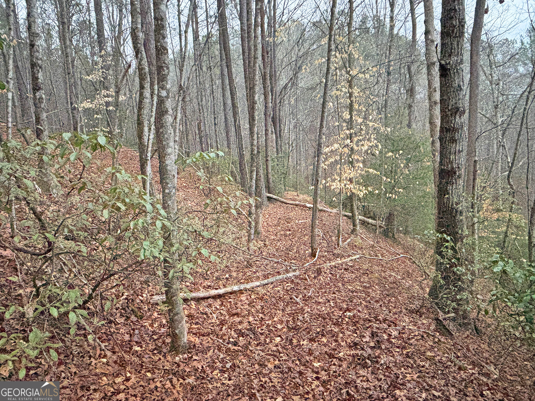 5AC Lovejoy Lane Talking Rock GA 30175