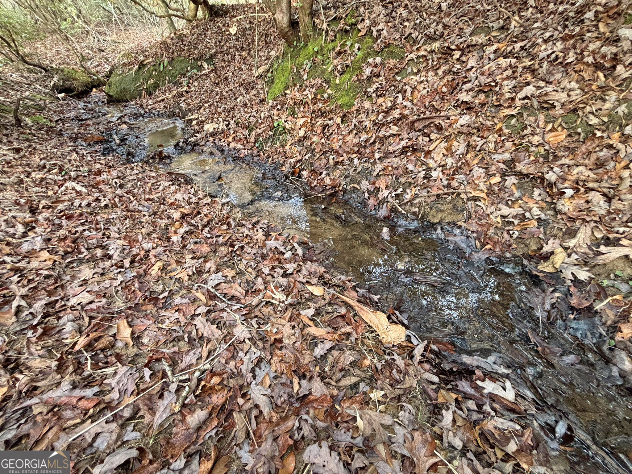 5AC Lovejoy Lane Talking Rock GA 30175