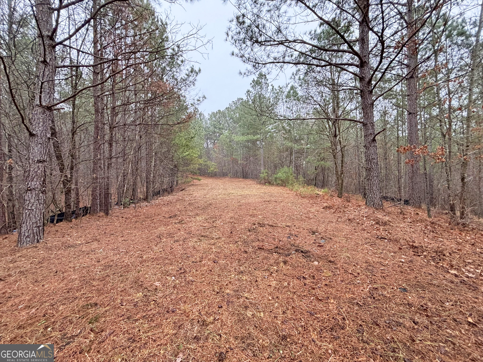 5AC Lovejoy Lane Talking Rock GA 30175