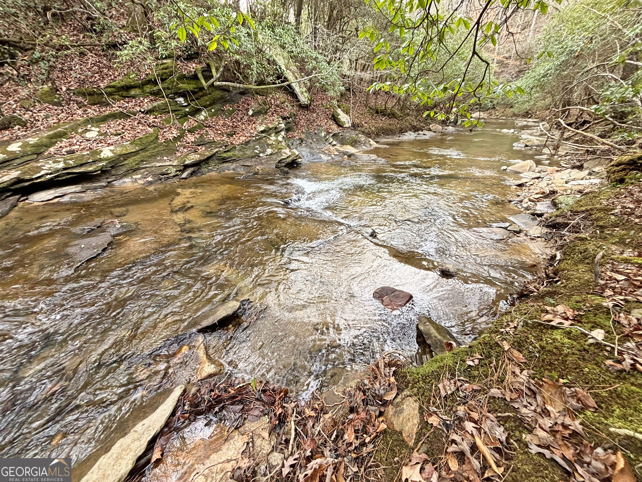 5AC Lovejoy Lane Talking Rock GA 30175