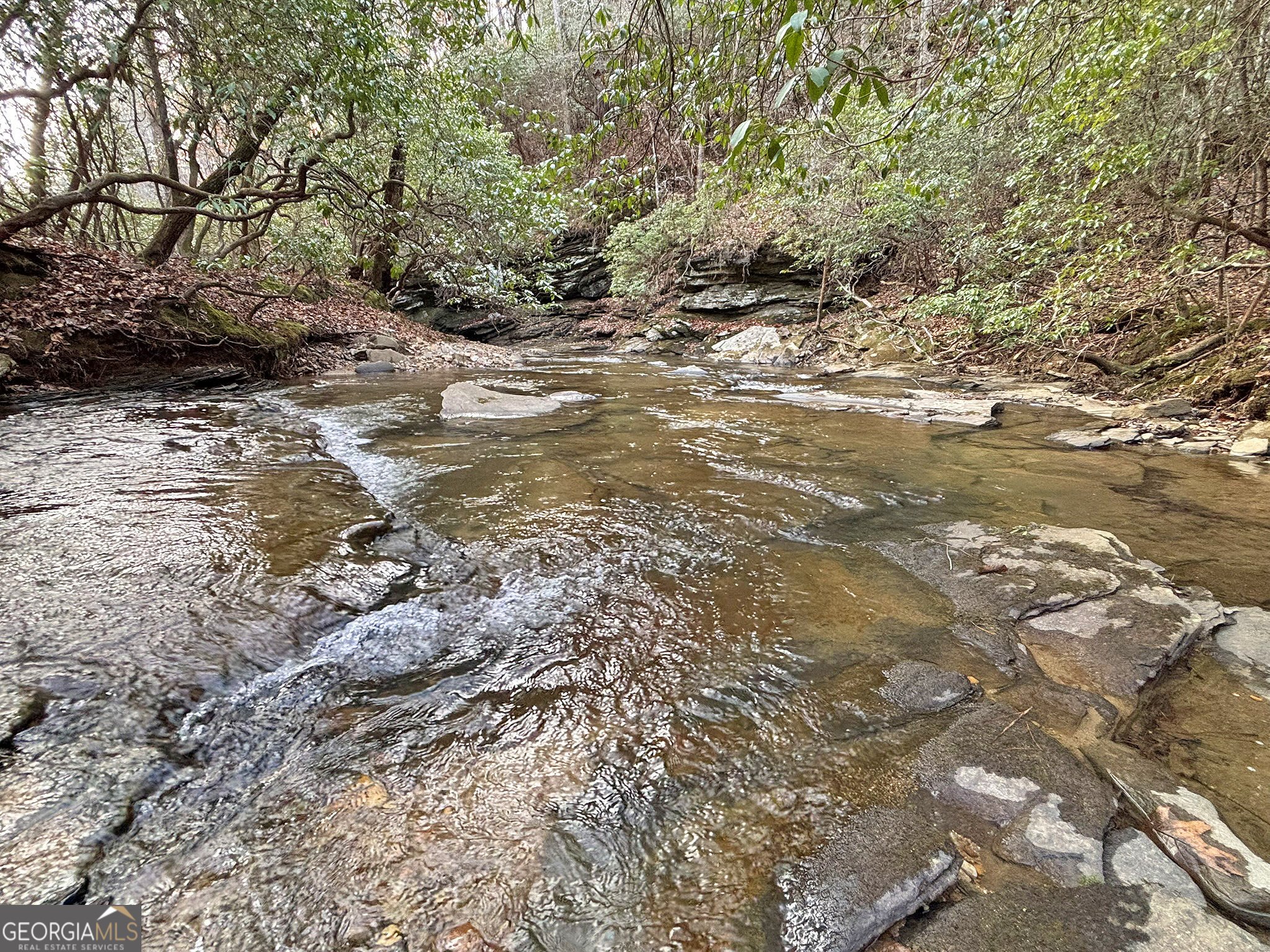 5AC Lovejoy Lane Talking Rock GA 30175