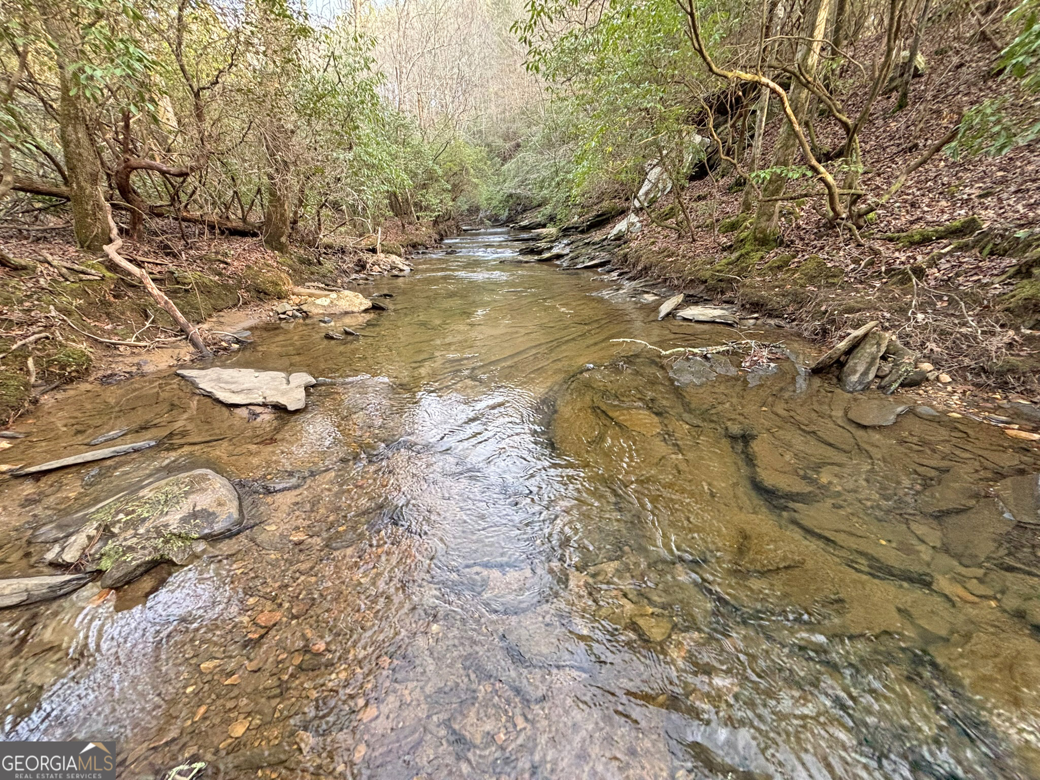 5AC Lovejoy Lane Talking Rock GA 30175