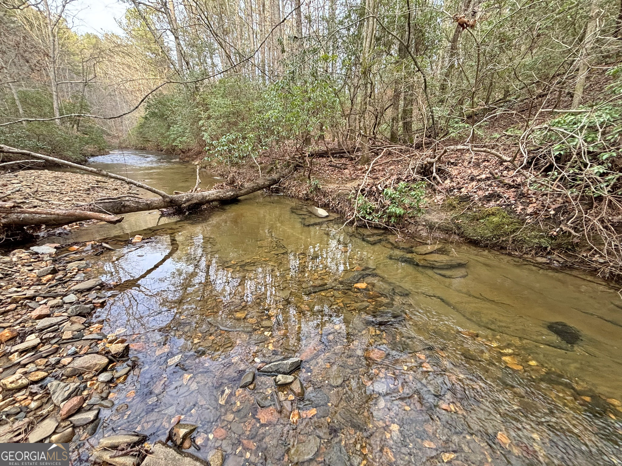 5AC Lovejoy Lane Talking Rock GA 30175