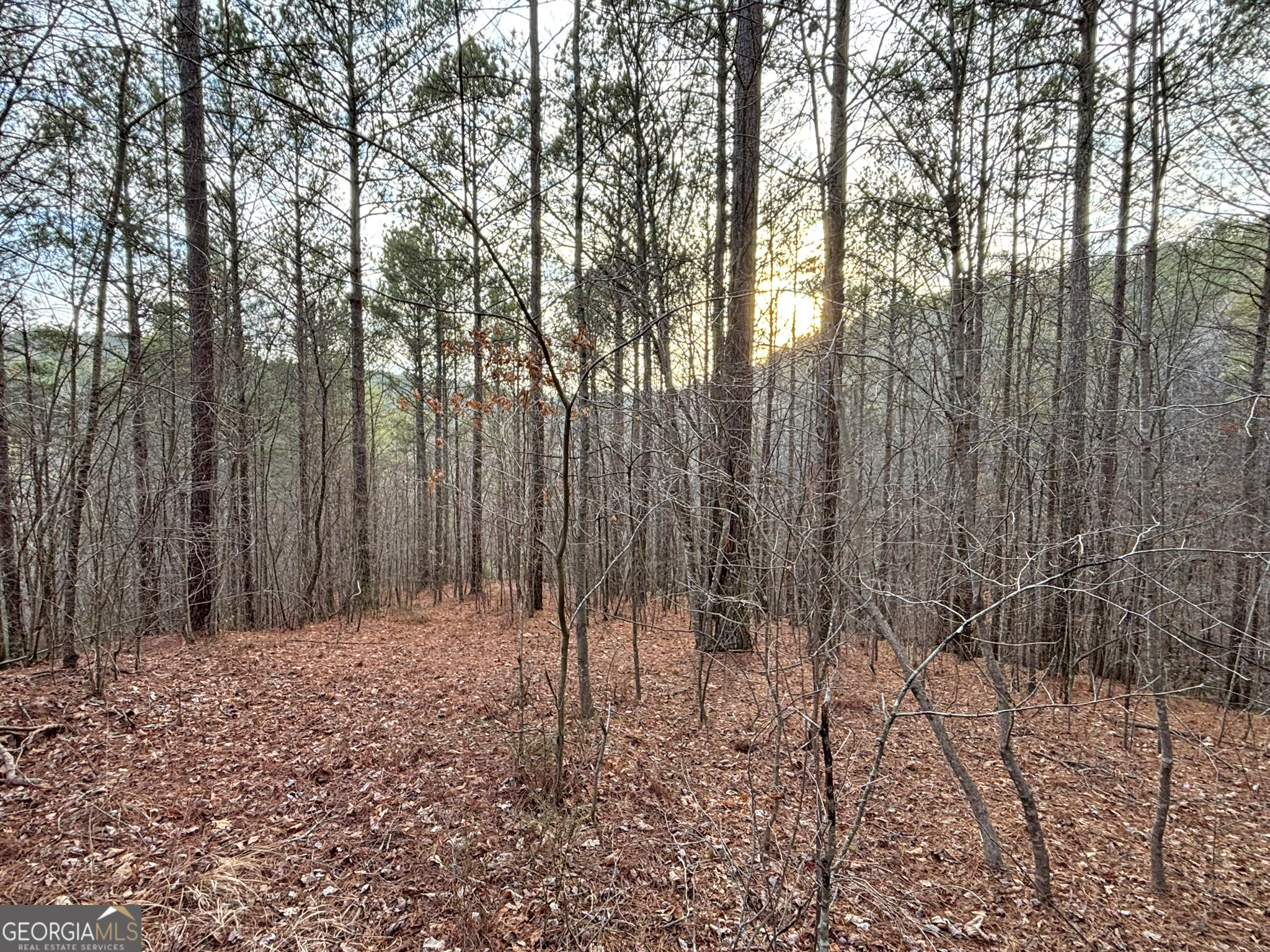 5AC Lovejoy Lane Talking Rock GA 30175