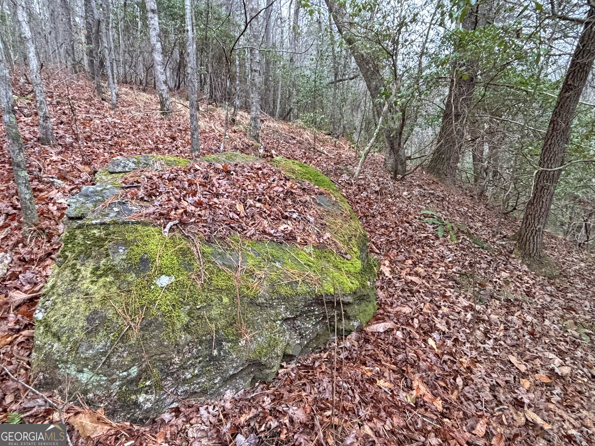 5AC Lovejoy Lane Talking Rock GA 30175