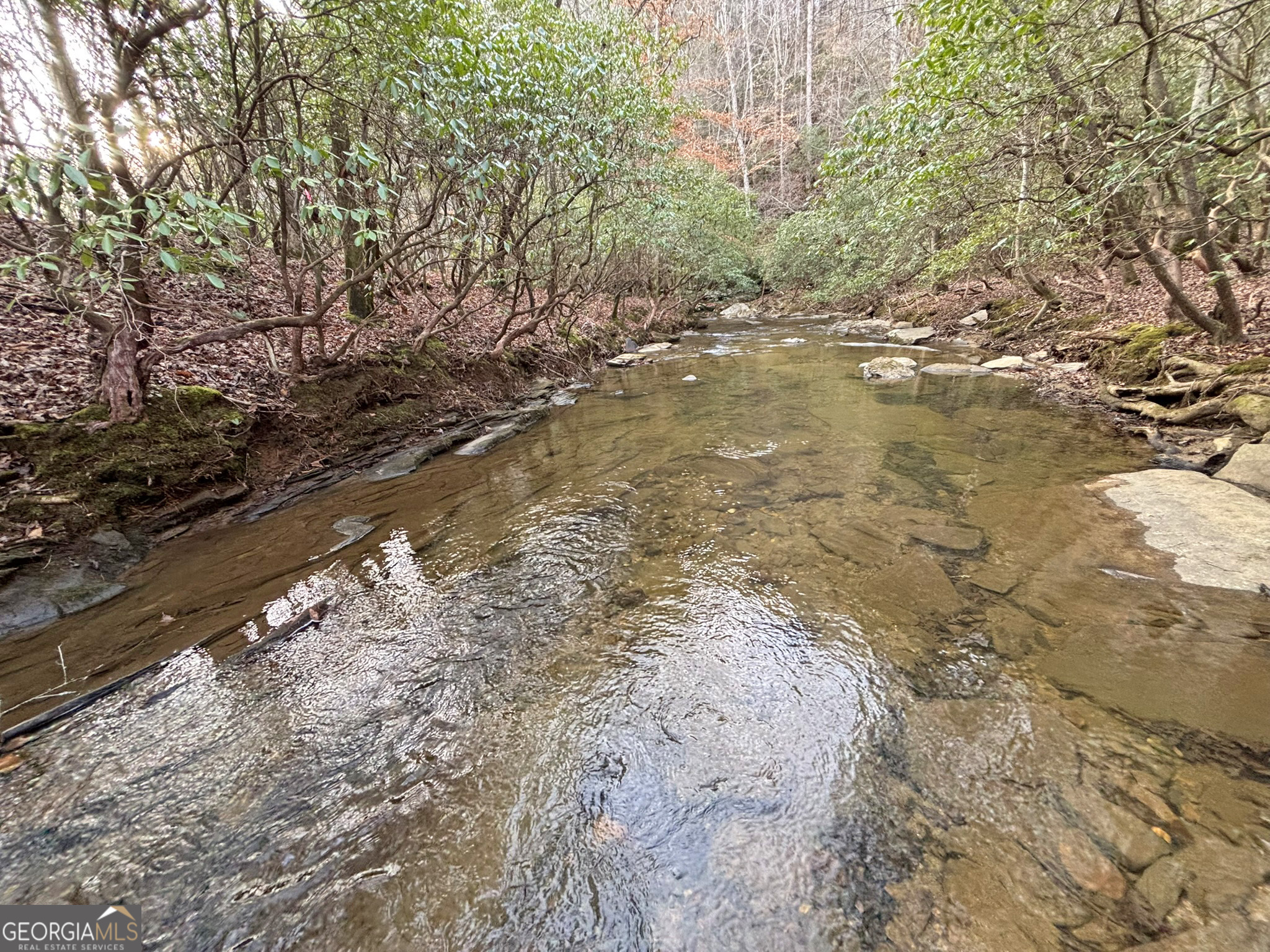5AC Lovejoy Lane Talking Rock GA 30175