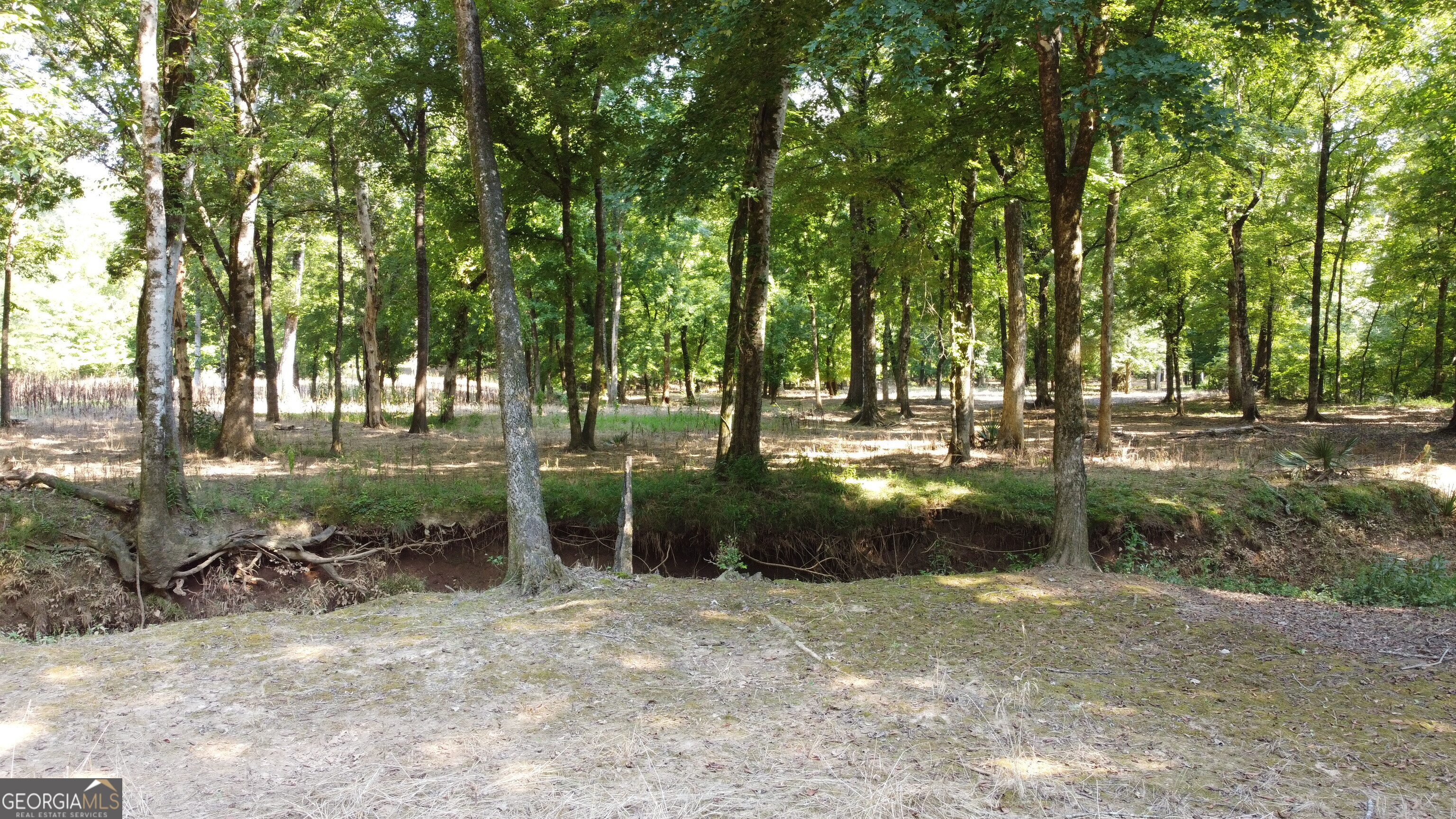 9390 Hopewell Road Lizella GA 31052