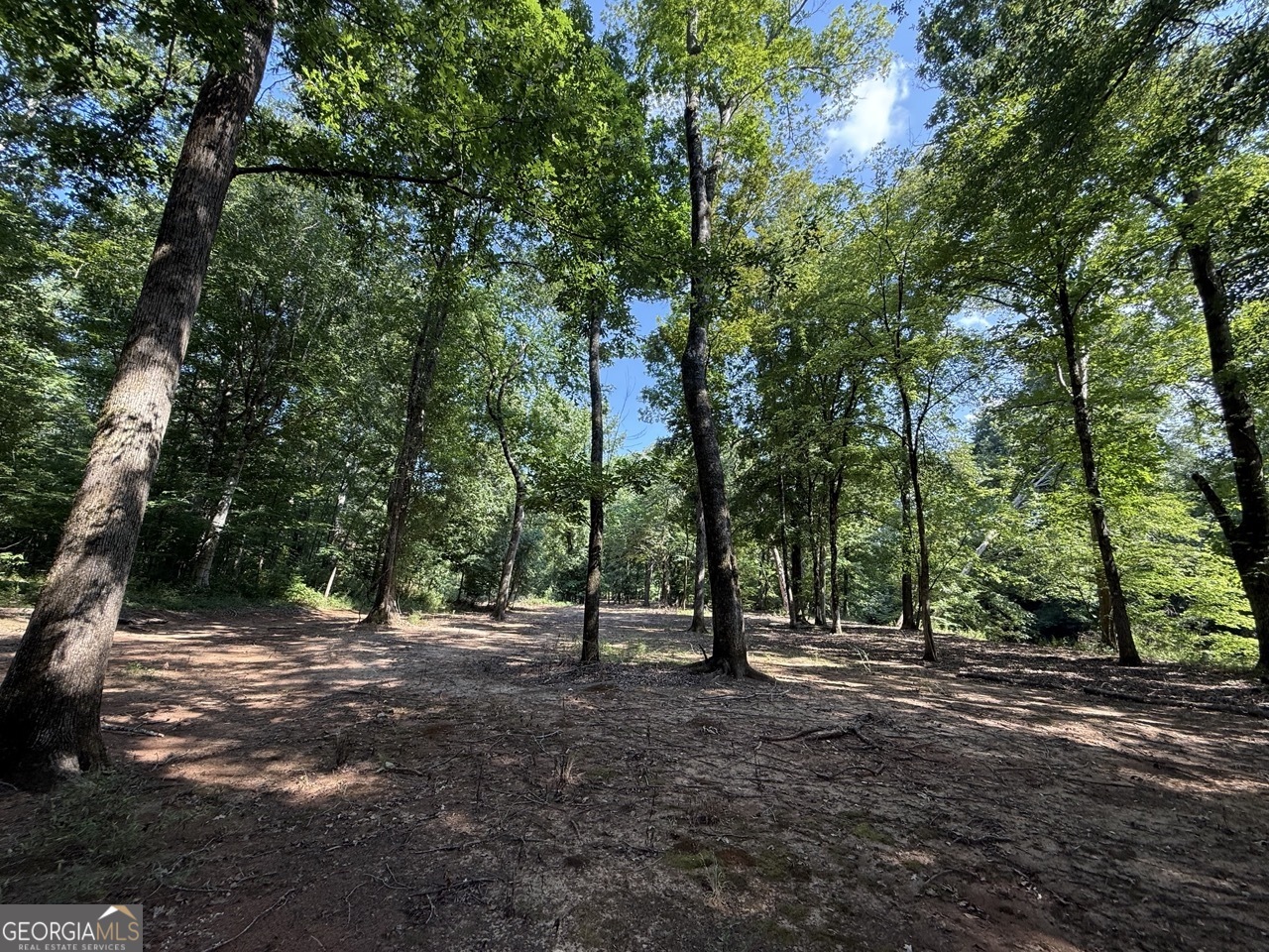 9390 Hopewell Road Lizella GA 31052