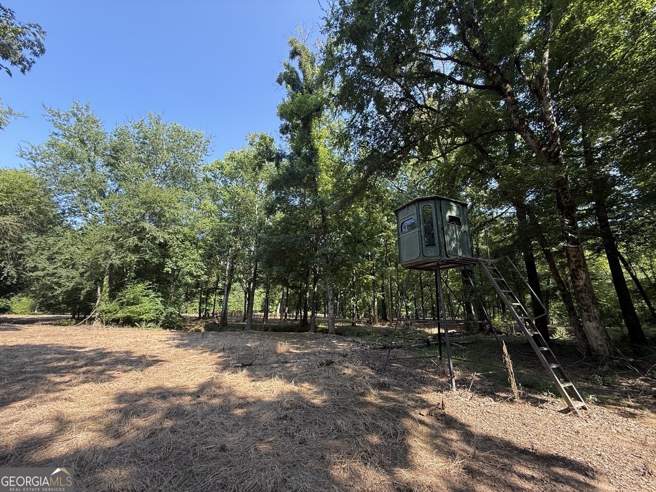 9390 Hopewell Road Lizella GA 31052