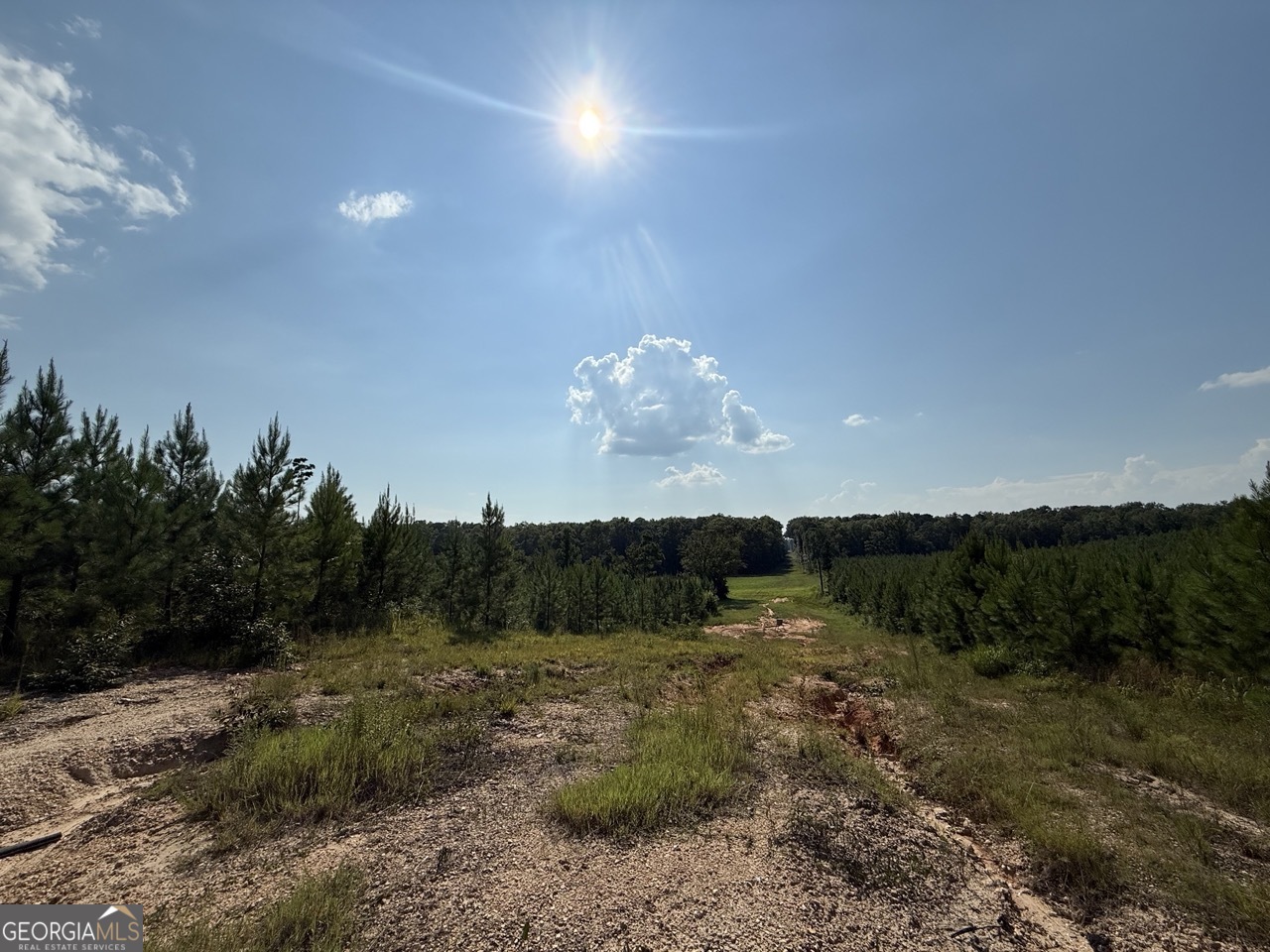 9390 Hopewell Road Lizella GA 31052