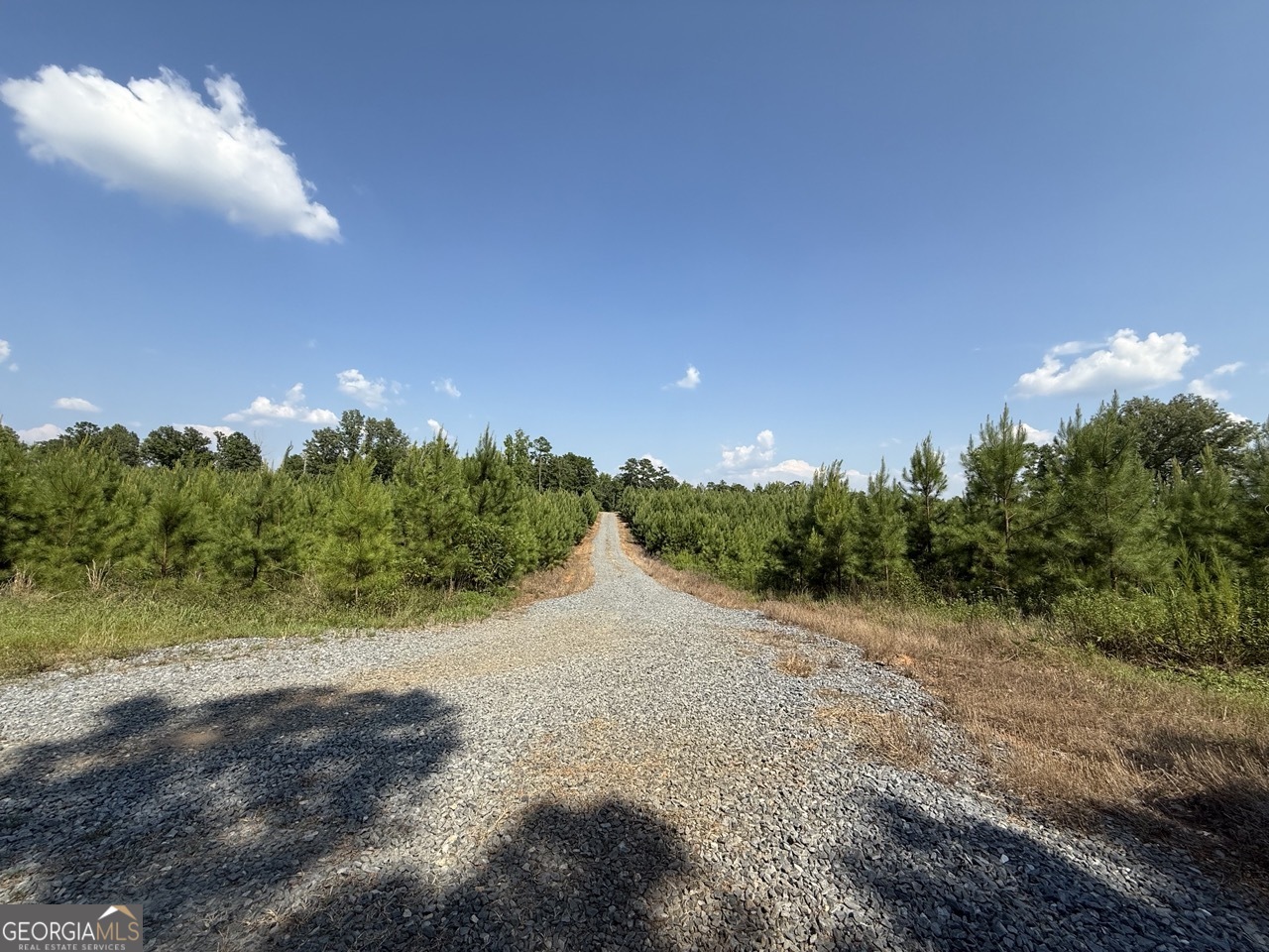9390 Hopewell Road Lizella GA 31052