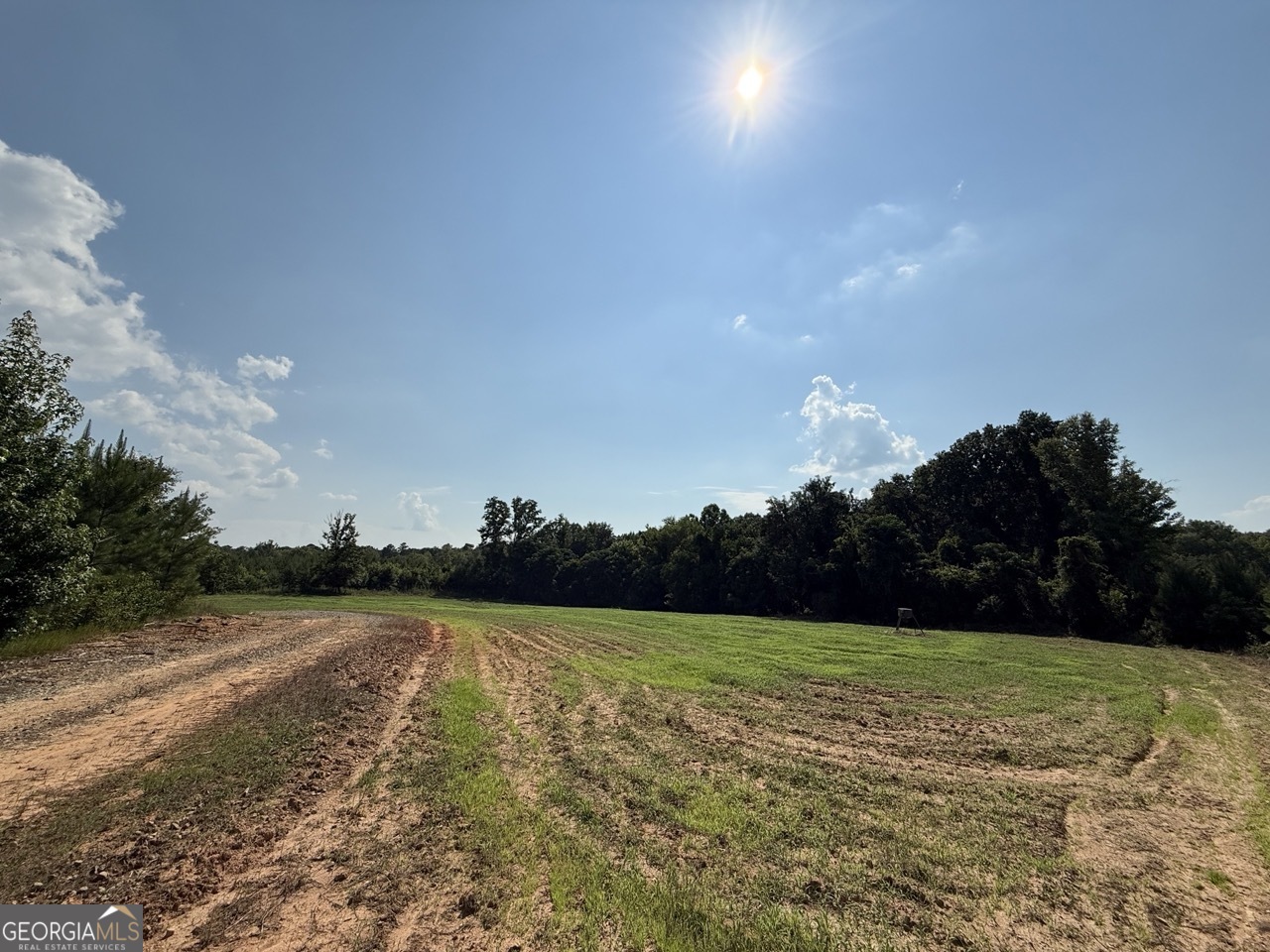 9390 Hopewell Road Lizella GA 31052