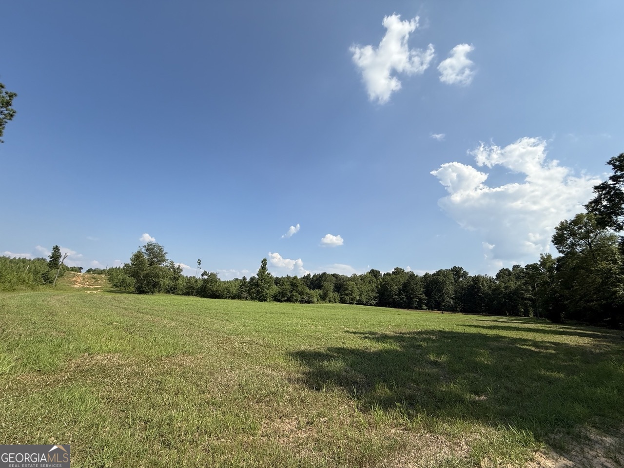 9390 Hopewell Road Lizella GA 31052