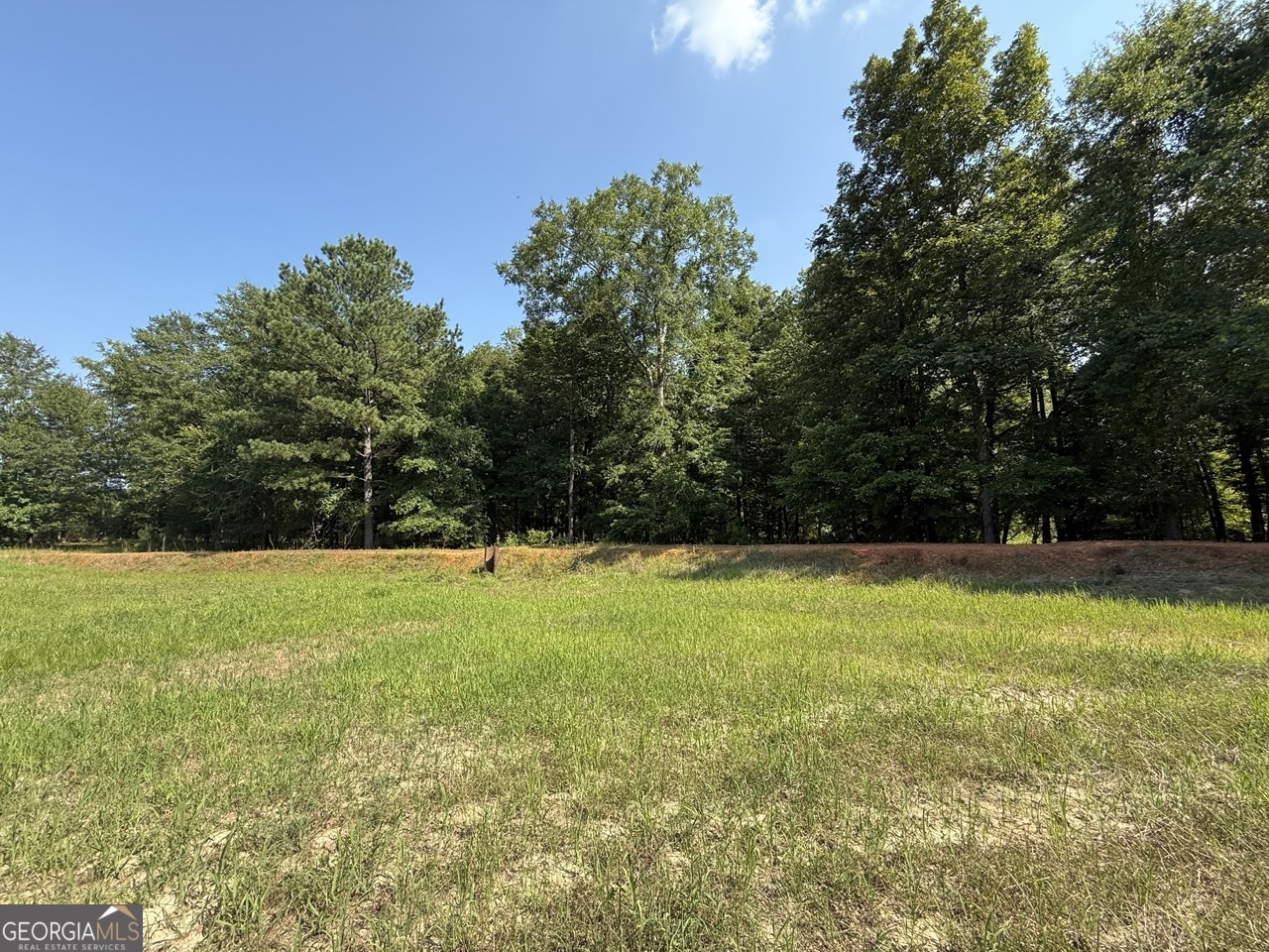 9390 Hopewell Road Lizella GA 31052