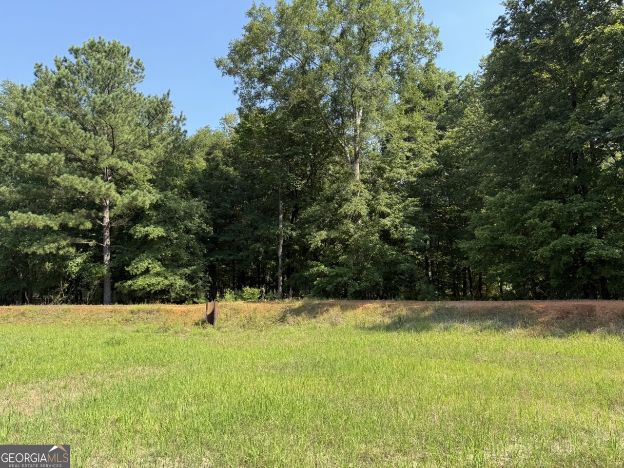 9390 Hopewell Road Lizella GA 31052