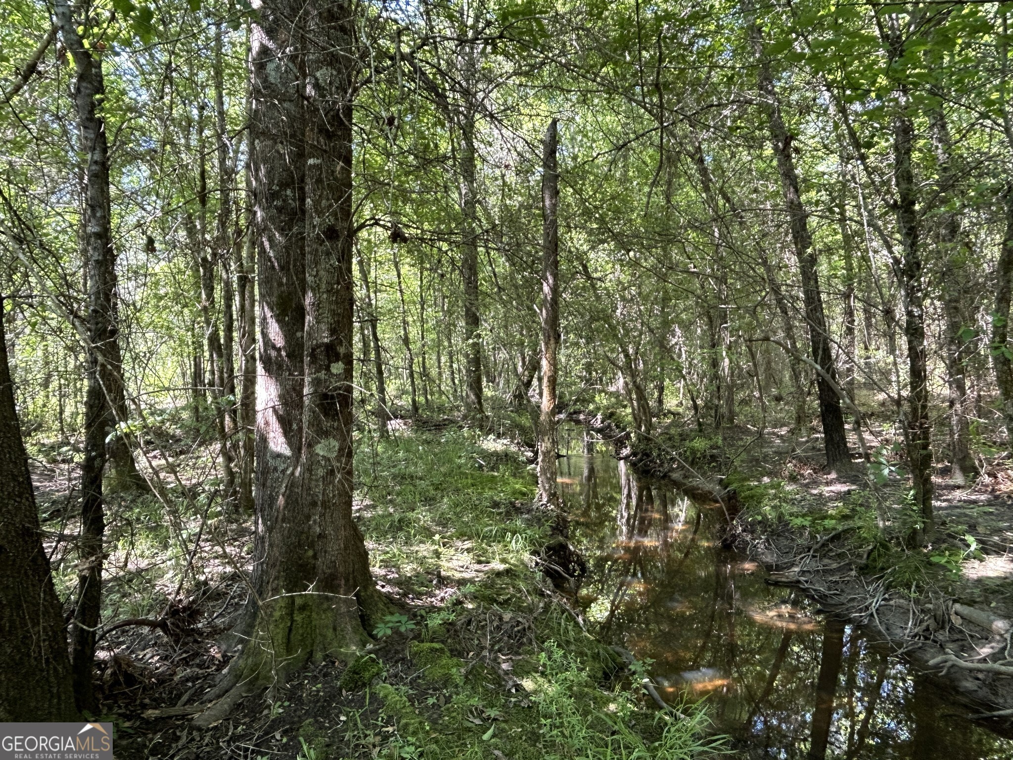 0 Dewey Thomas Road Dexter GA 31019