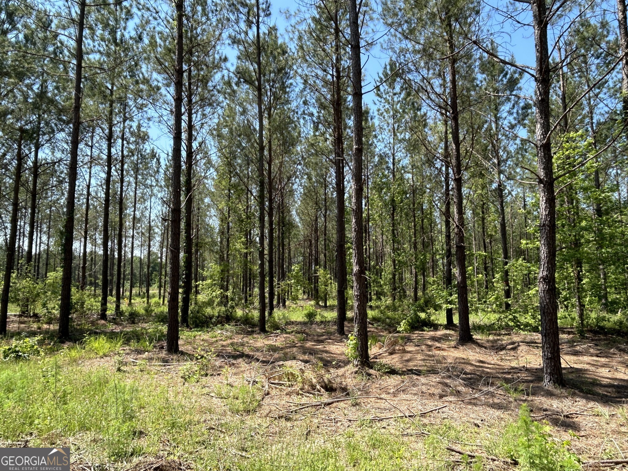0 Dewey Thomas Road Dexter GA 31019