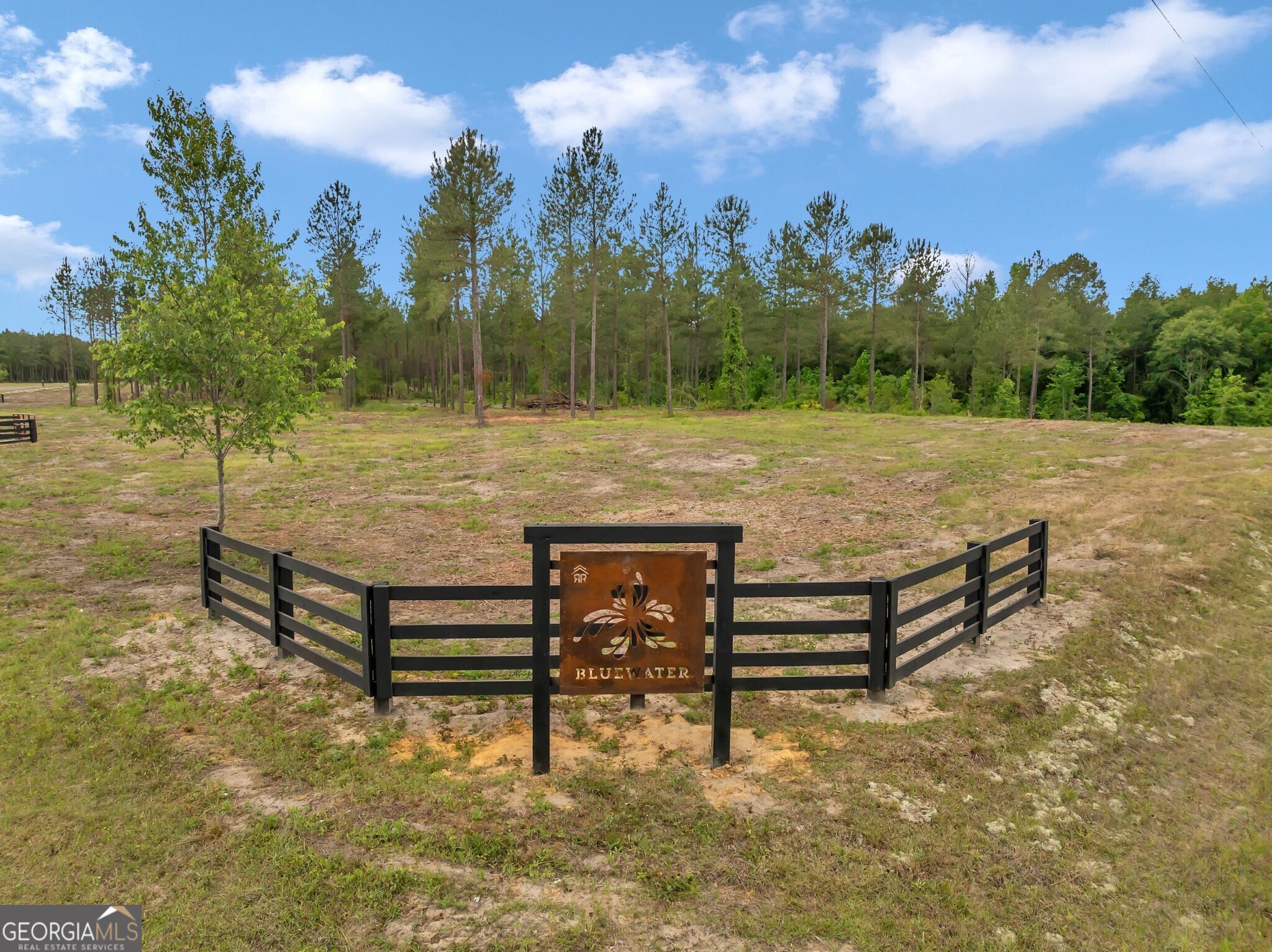 0 Dewey Thomas Road Dexter GA 31019