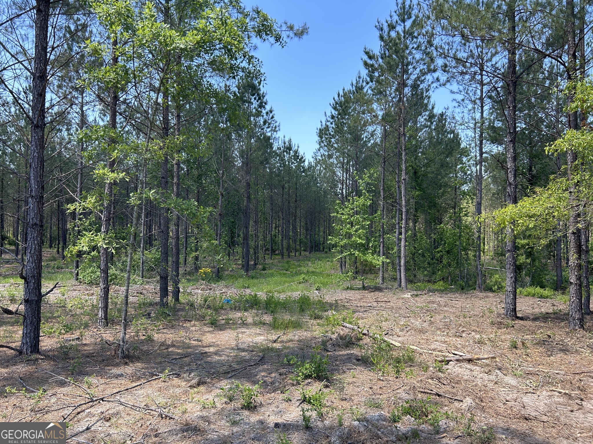 0 Dewey Thomas Road Dexter GA 31019