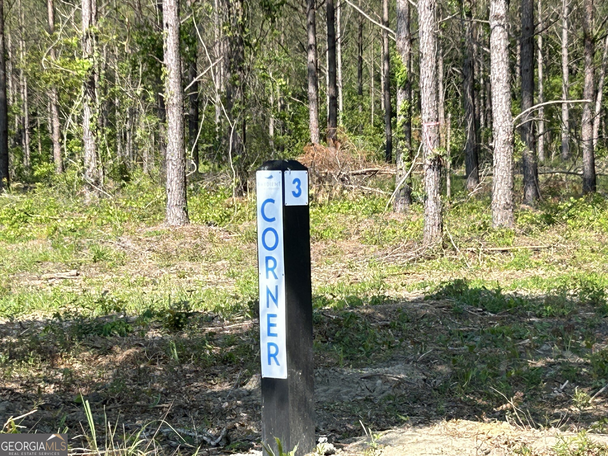 0 Dewey Thomas Road Dexter GA 31019
