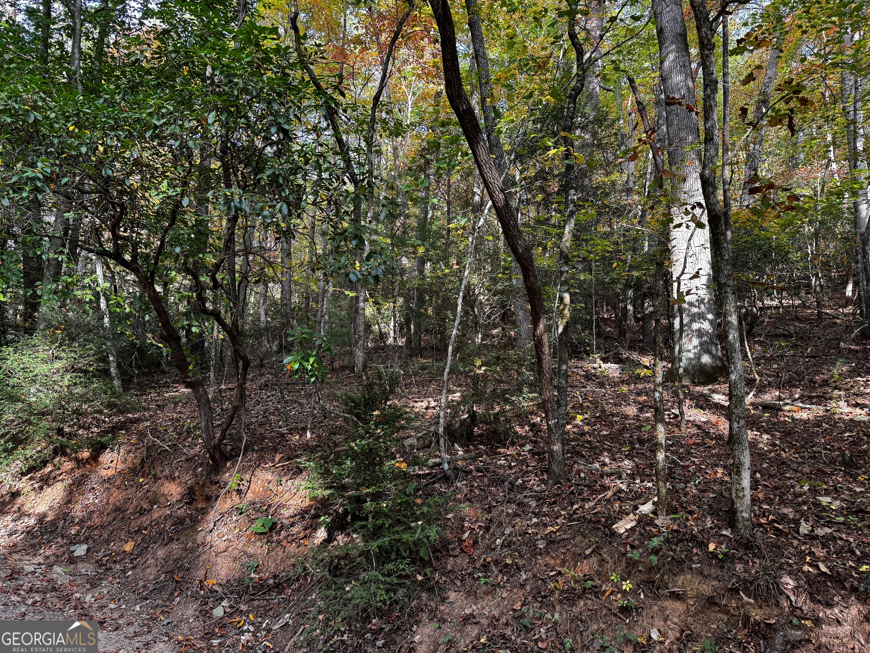 0 Wheeler Ridge Sautee Nacoochee GA 30571