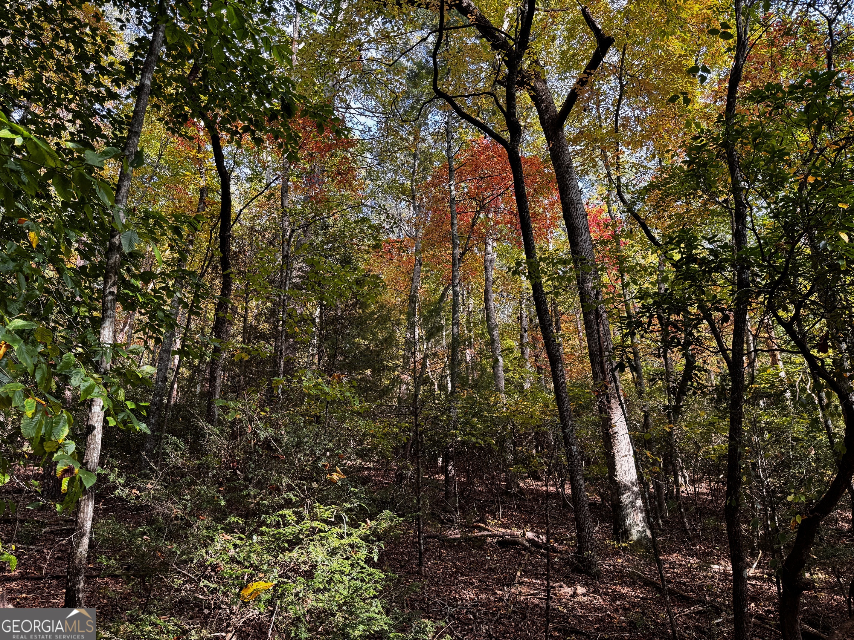 0 Wheeler Ridge Sautee Nacoochee GA 30571