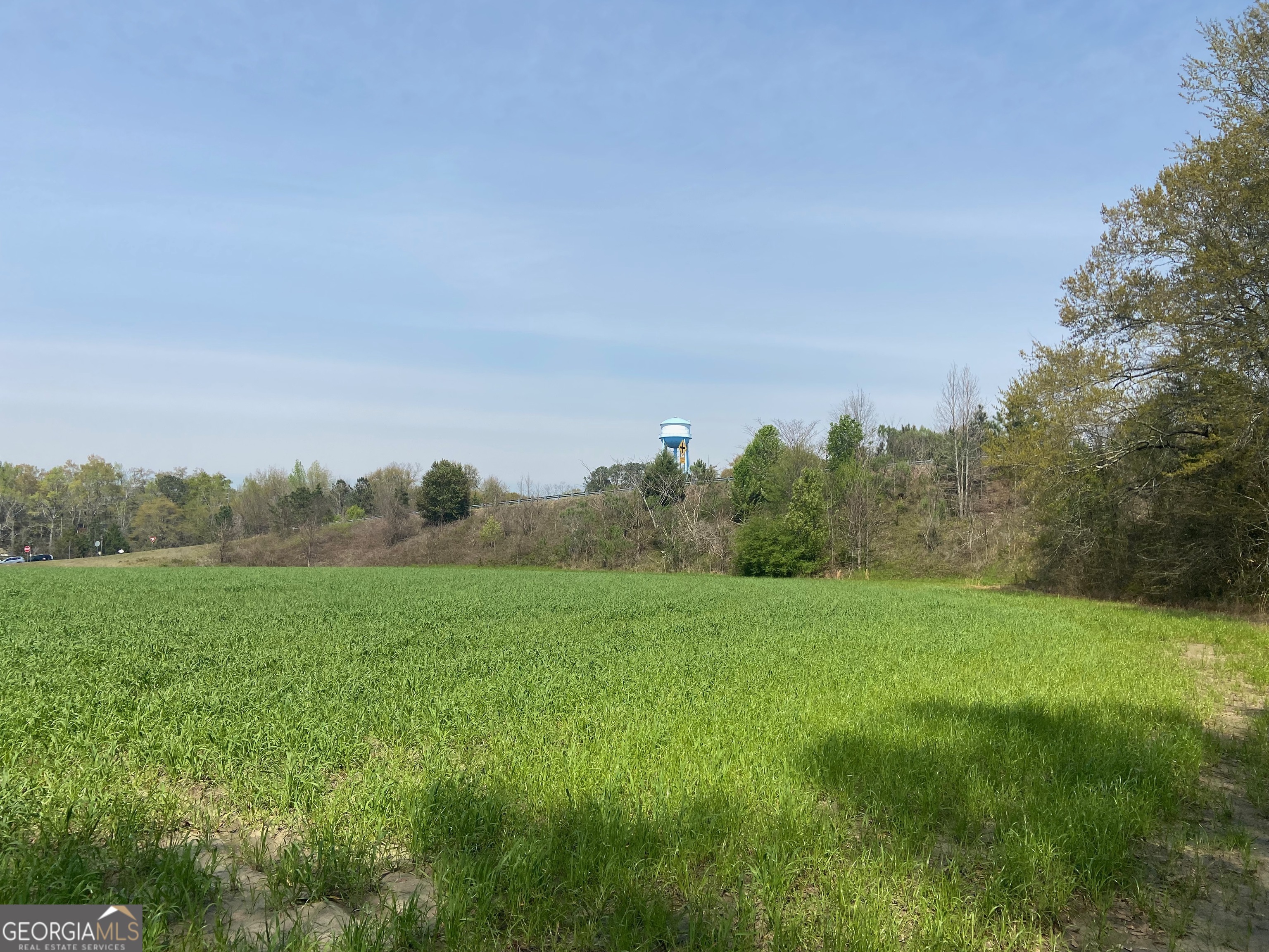 0 Moseley Road Byron GA 31008