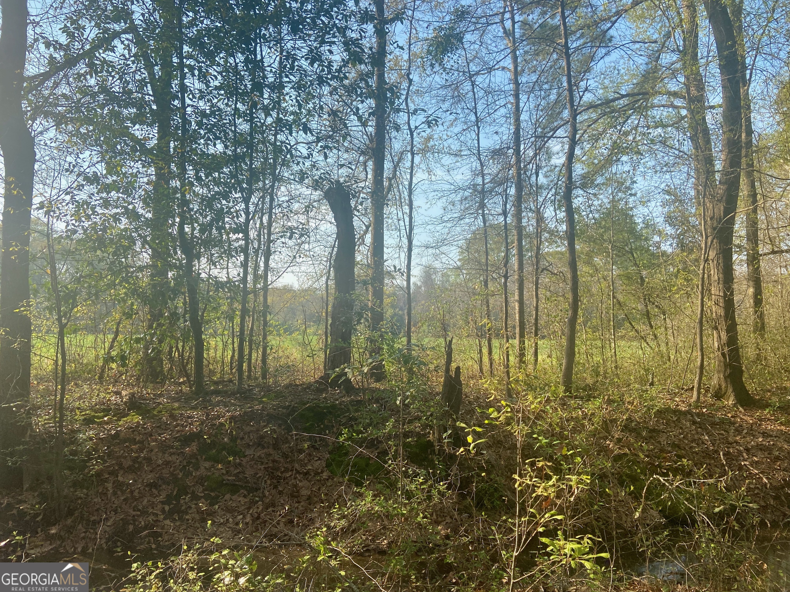 0 Moseley Road Byron GA 31008