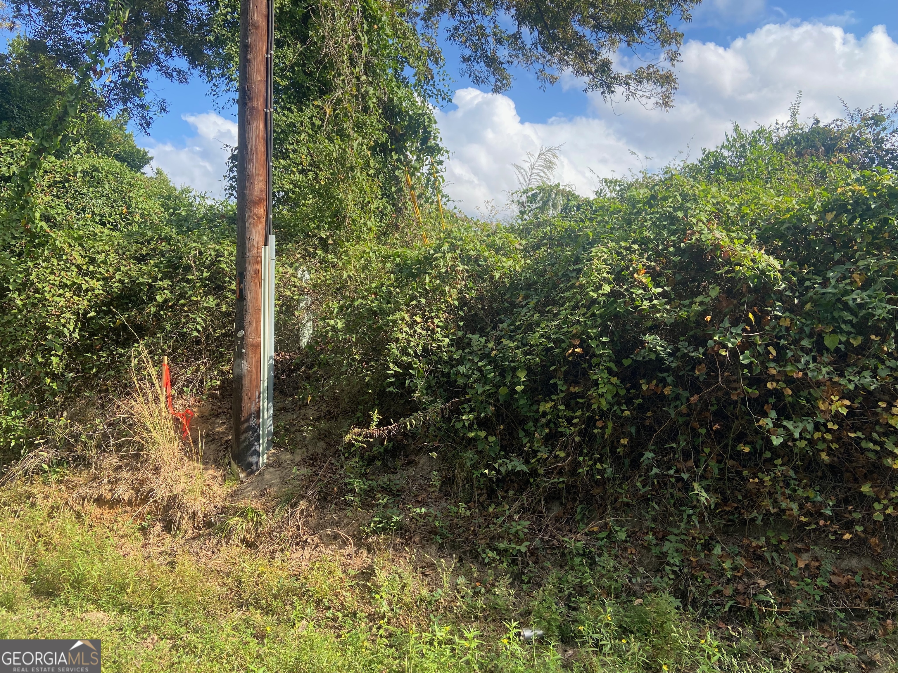 0 Moseley Road Byron GA 31008