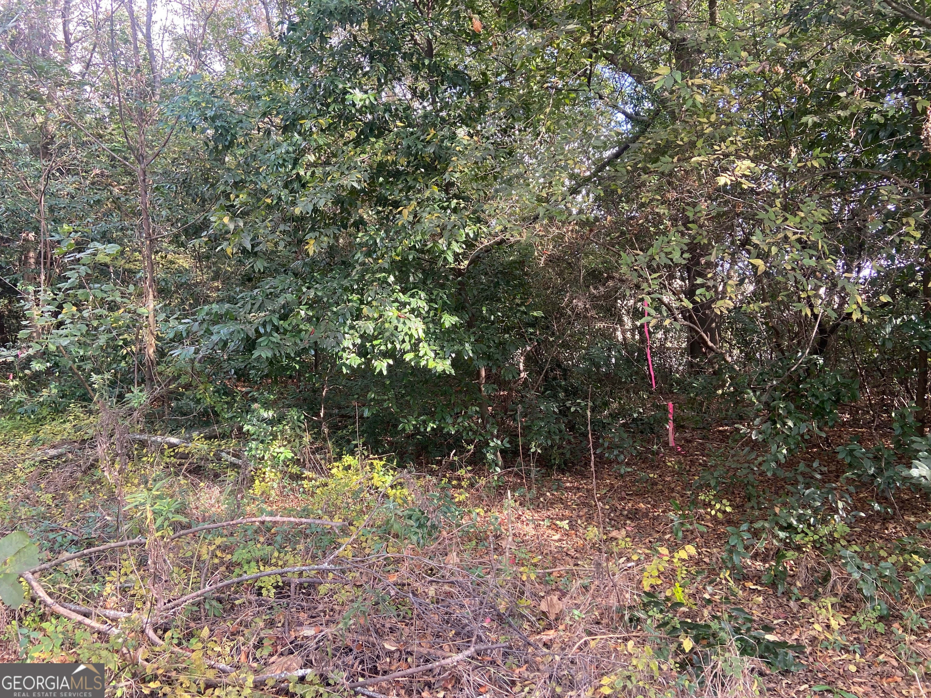 0 Moseley Road Byron GA 31008